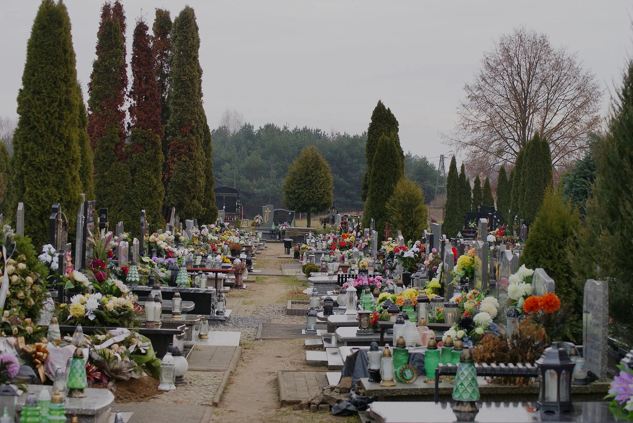 Photo showing: Cmentarz komunalny w Rożnie-Parcelach