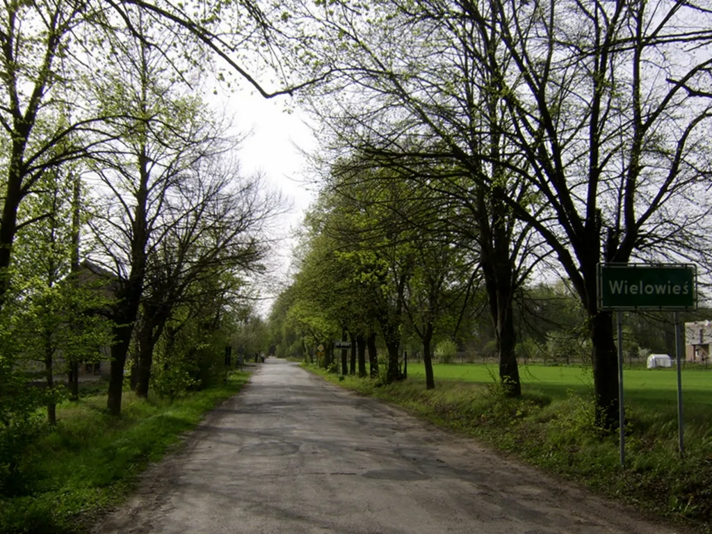Photo showing: Wieś Wielowieś