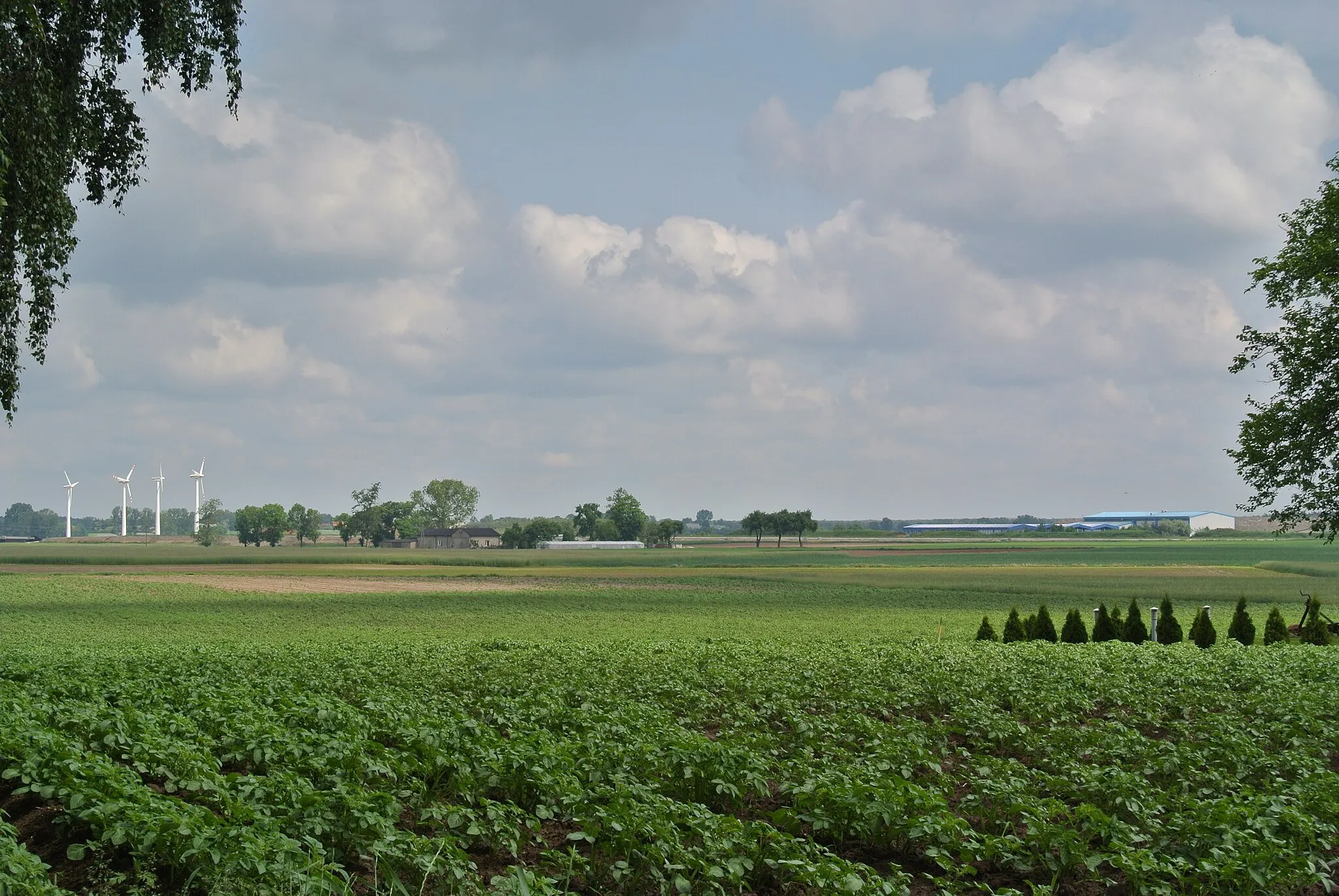 Photo showing: pola uprawne we wsi Słone w gminie Brześć Kujawski, na drugim planie wsie Machnacz (elektrownia wiatrowa po lewej i składowisko odpadów po prawej) oraz Pikutkowo (gospodarstwo rolne pośrodku)