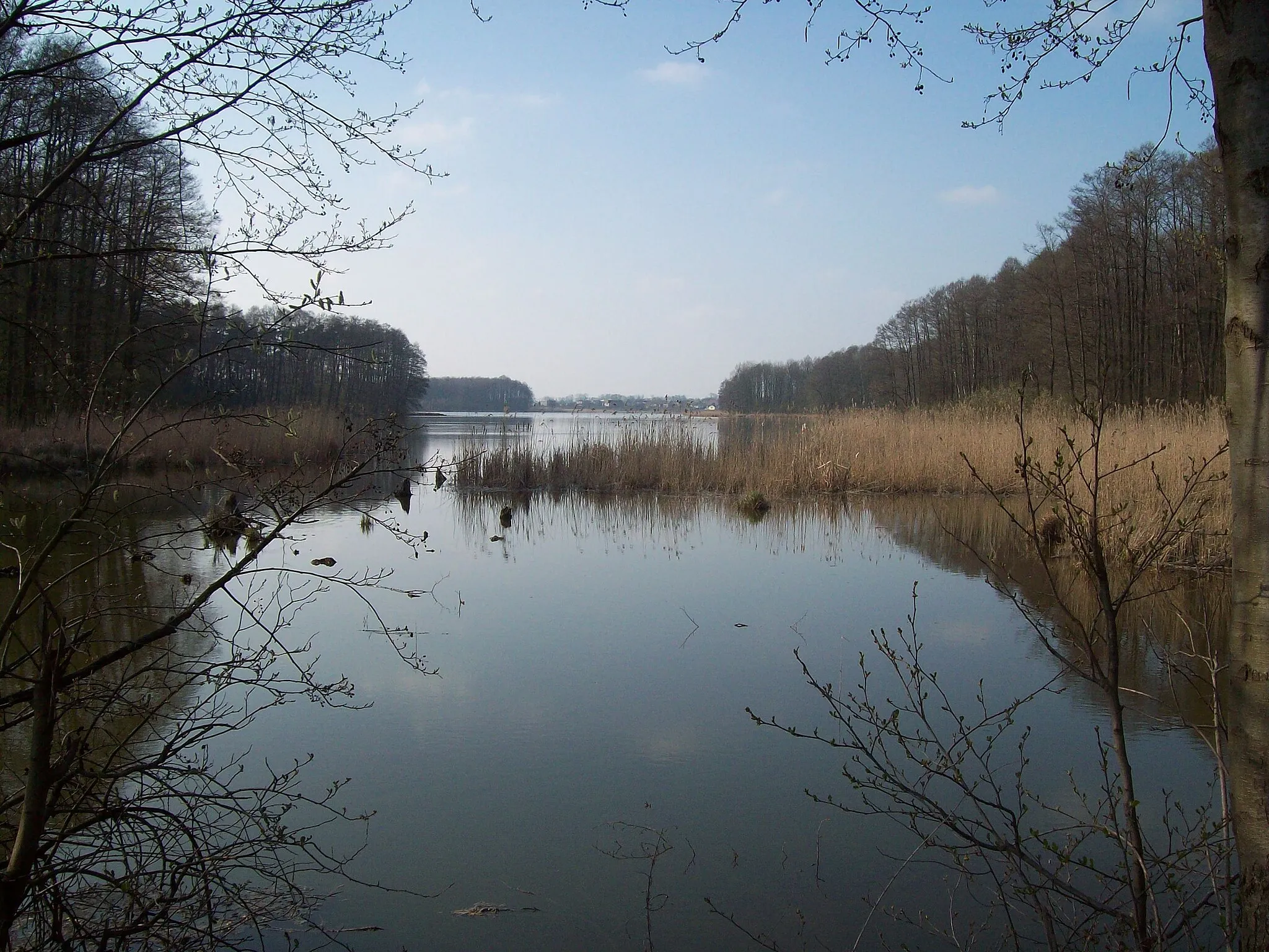 Photo showing: Jezioro Świesz - sight from causeway from village Trojaczek side