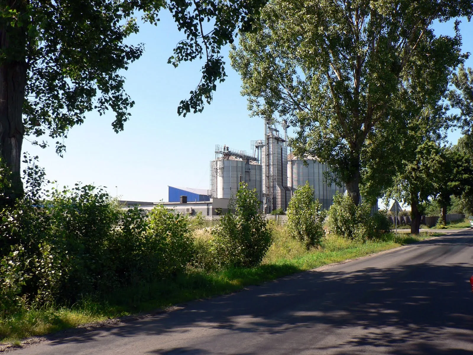 Photo showing: Zakład w Szarleju k. Kruszwicy