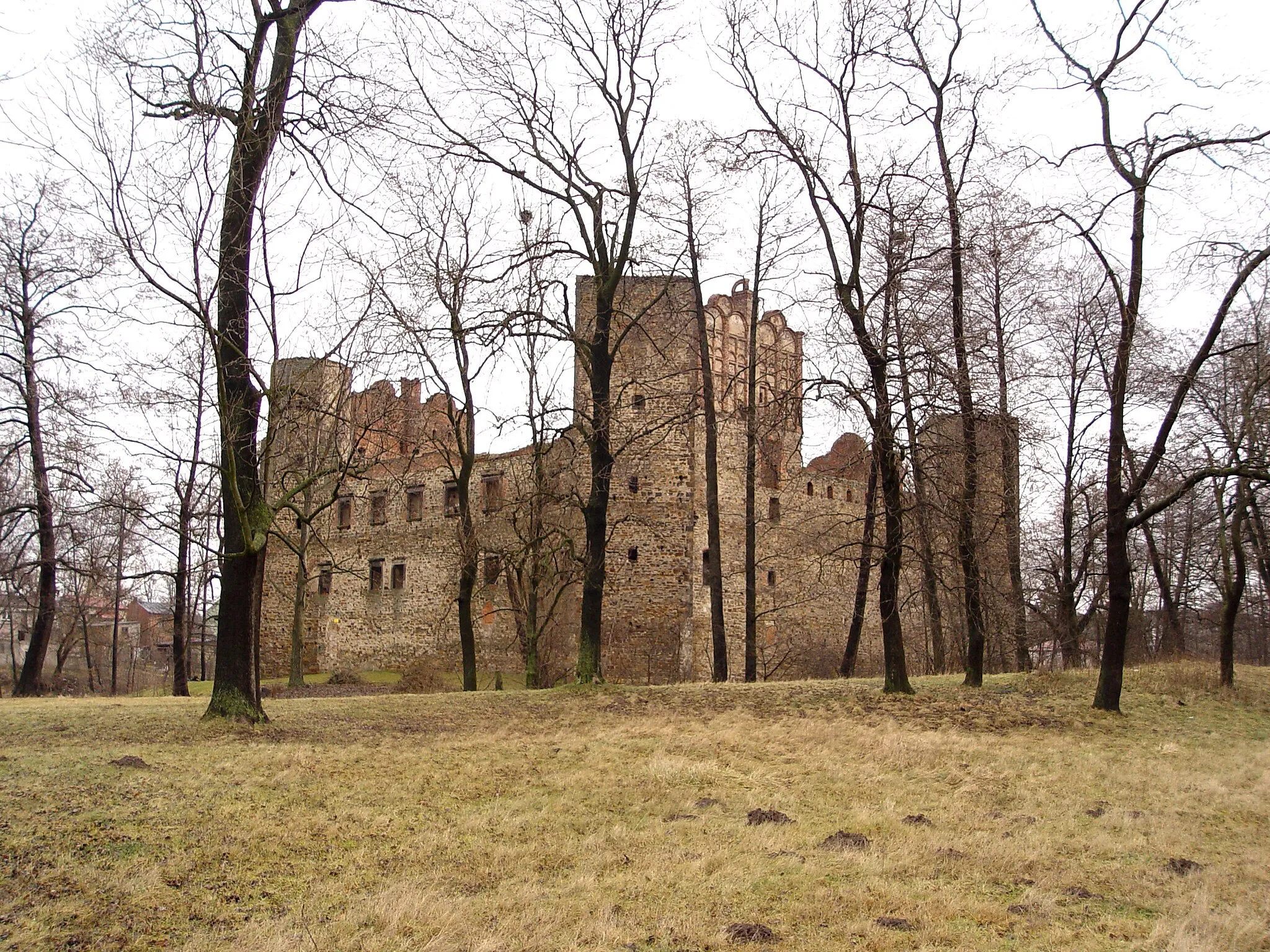 Photo showing: Zamek w Drzewicy,nad rzeką Drzewiczką, widok od południowo zachodniej, od strony do Końskich