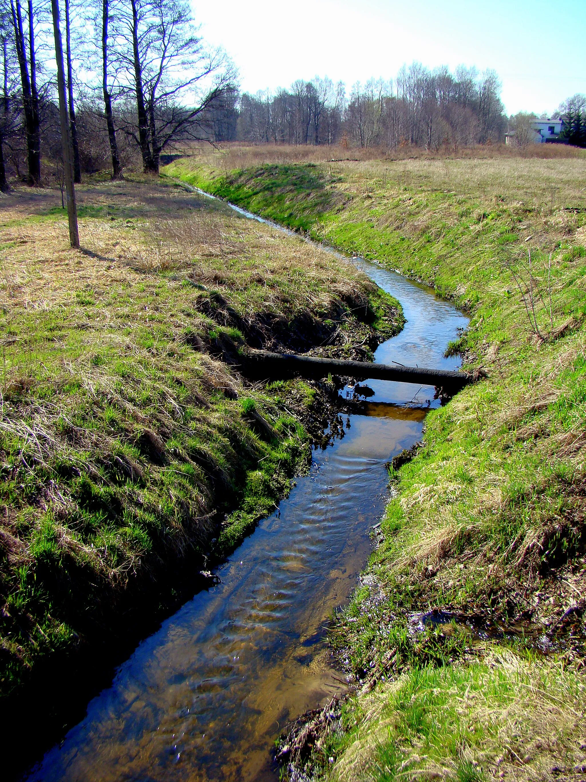 Photo showing: Rzeka Zimna Woda (Łódź, Województwo łódzkie), Polska