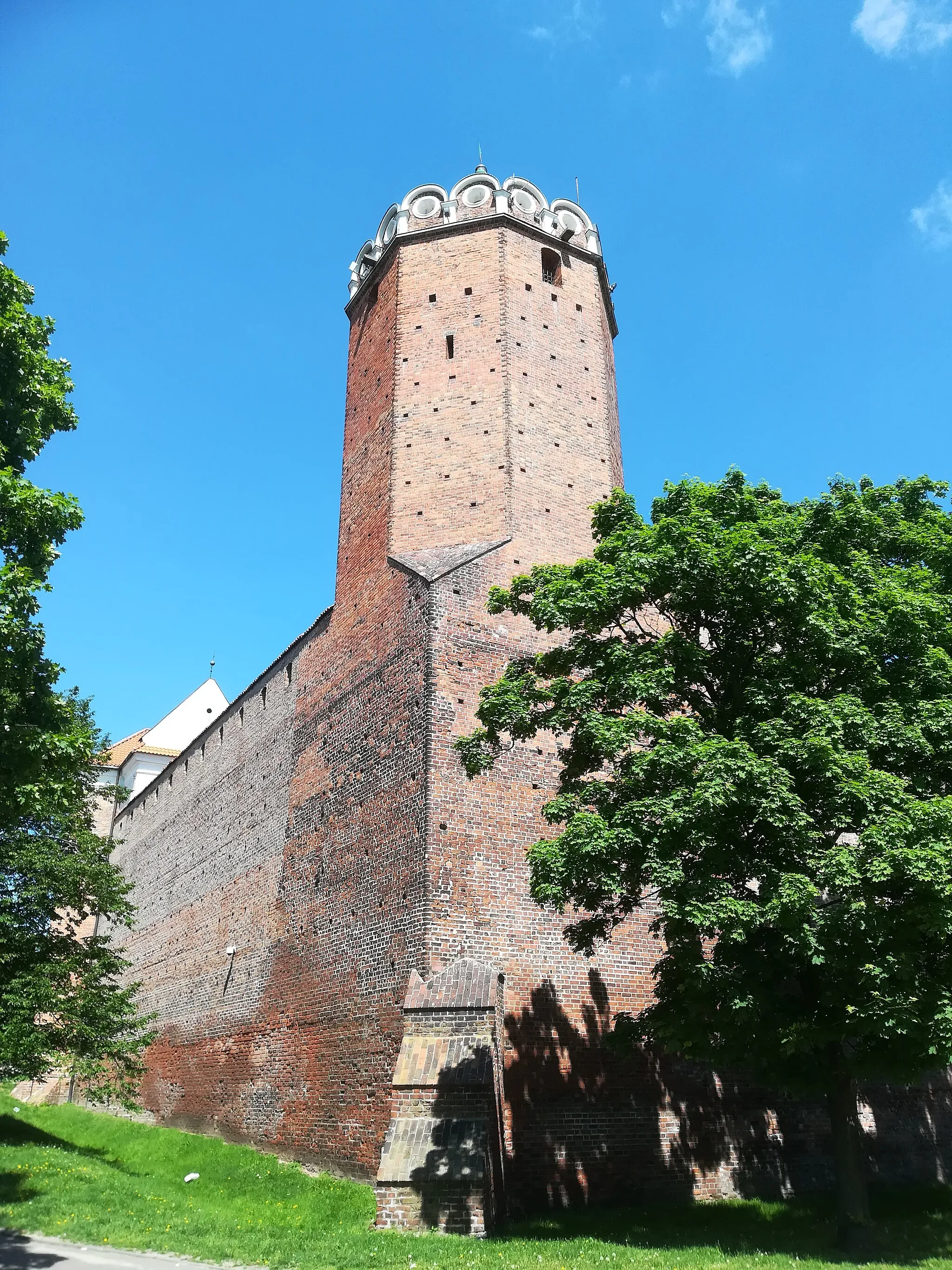 Photo showing: Zamek w Łęczycy.