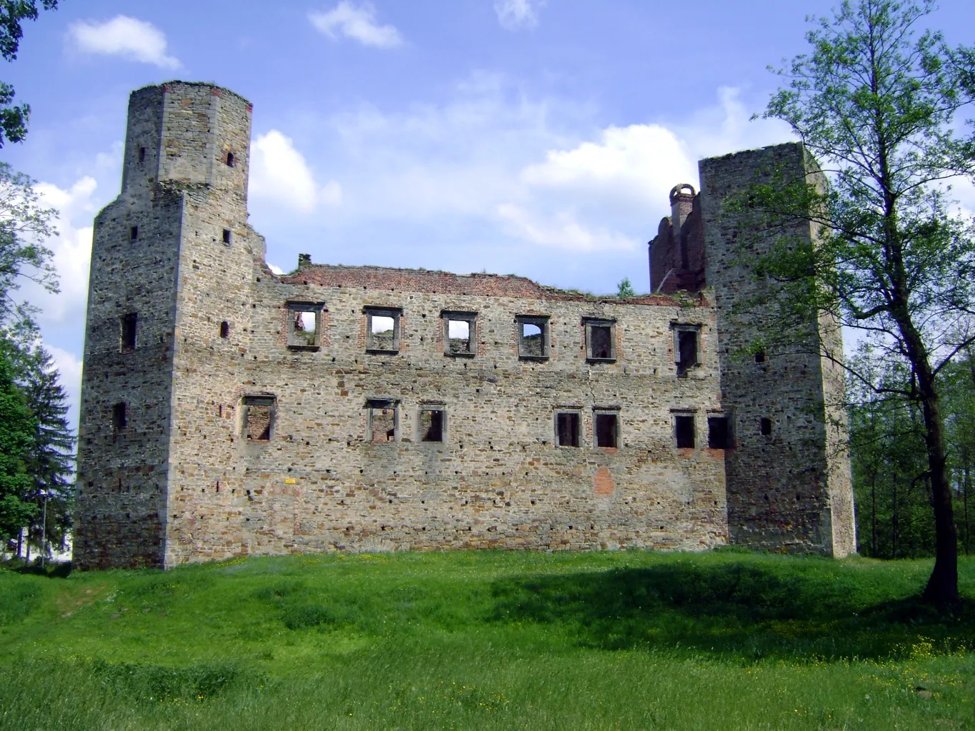Photo showing: Zamek w Drzewicy (zabytek nr rejestr. 47/A)
