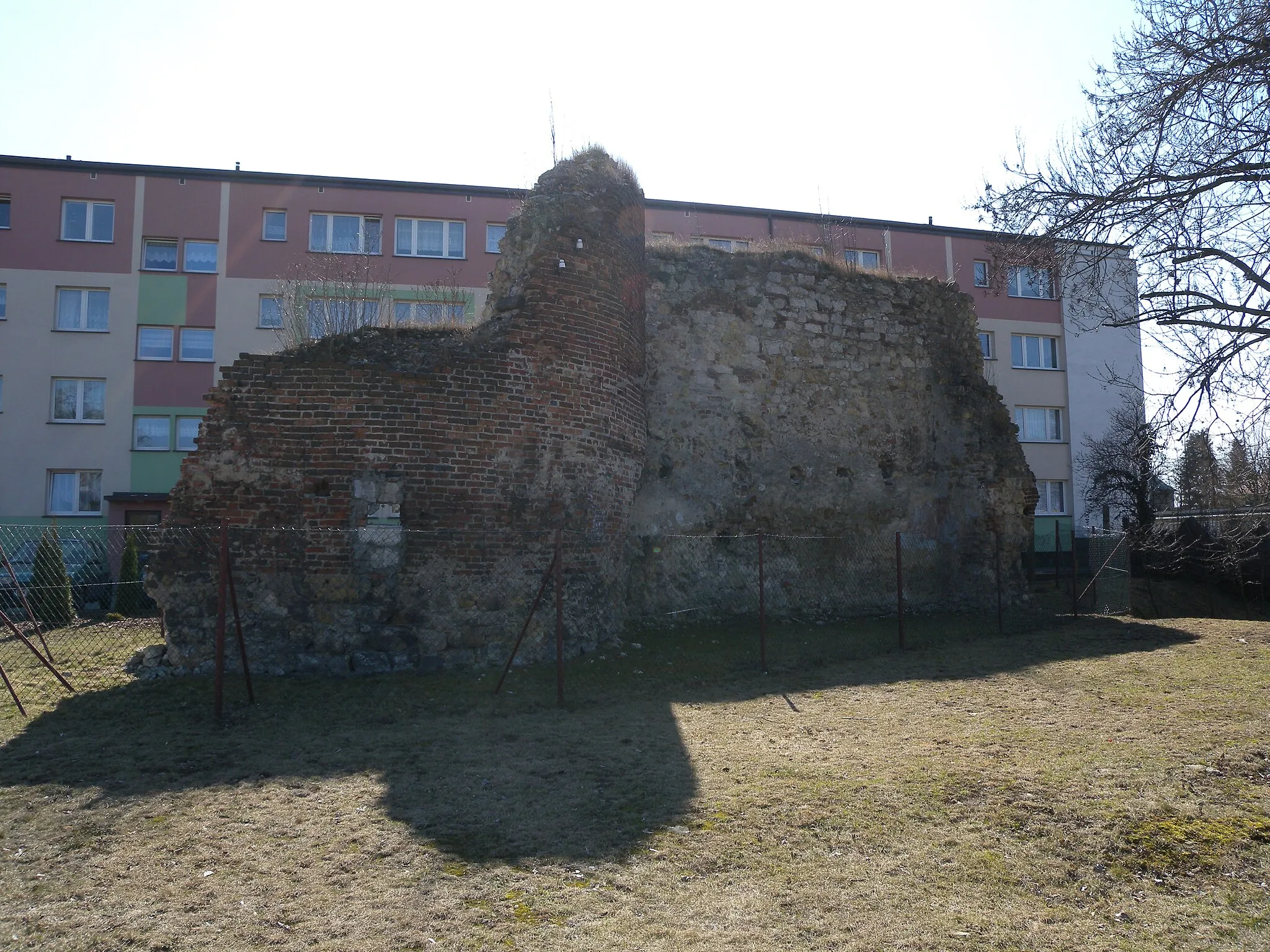 Photo showing: Wieluń, mury obronne