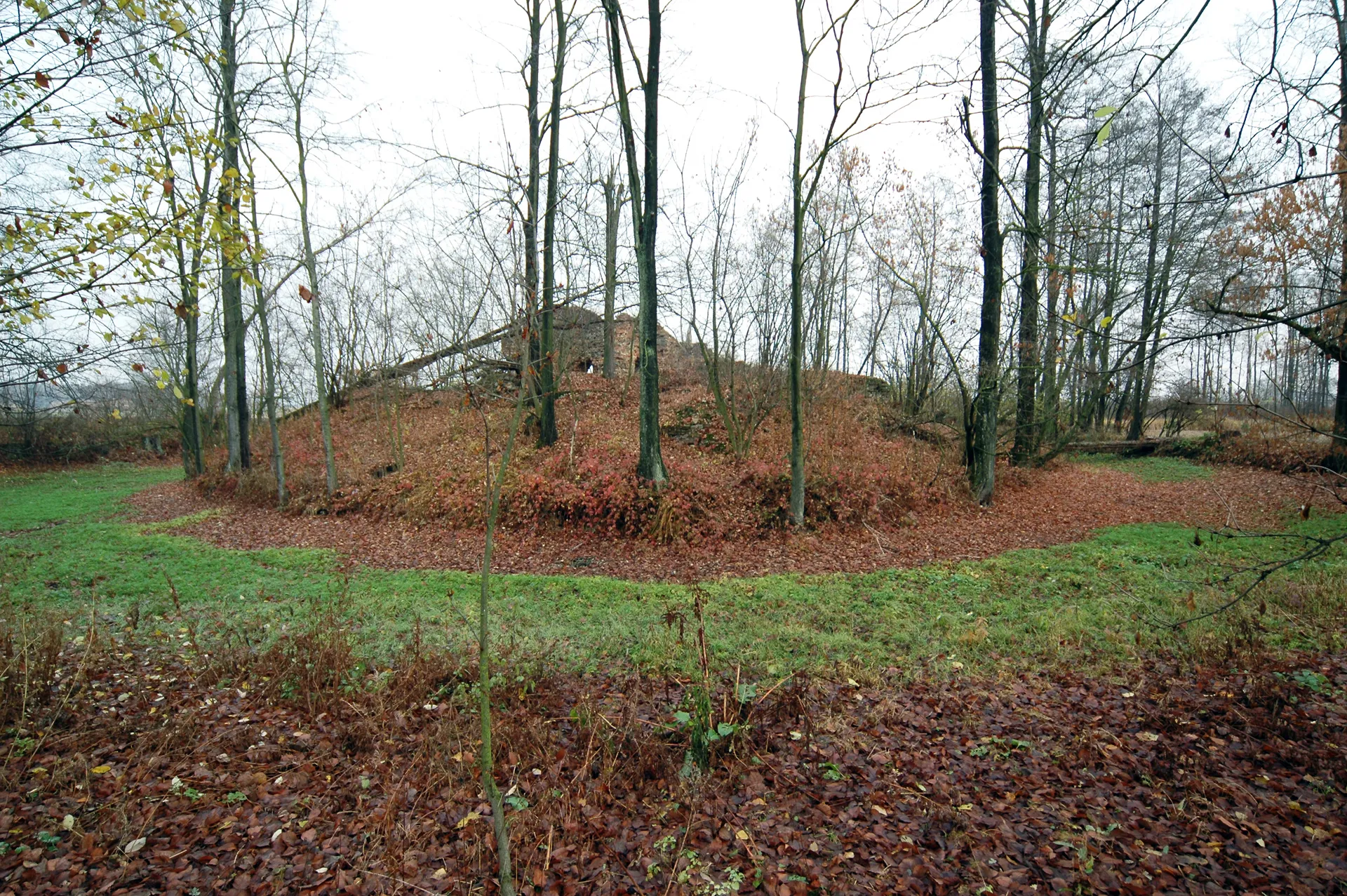 Photo showing: Zespół dworu obronnego, XVI w.:
ruina dworu na wyspie, nr 574-IX-80, 177
park dworski, nr 339 Mikorzyce, Bełchatów
