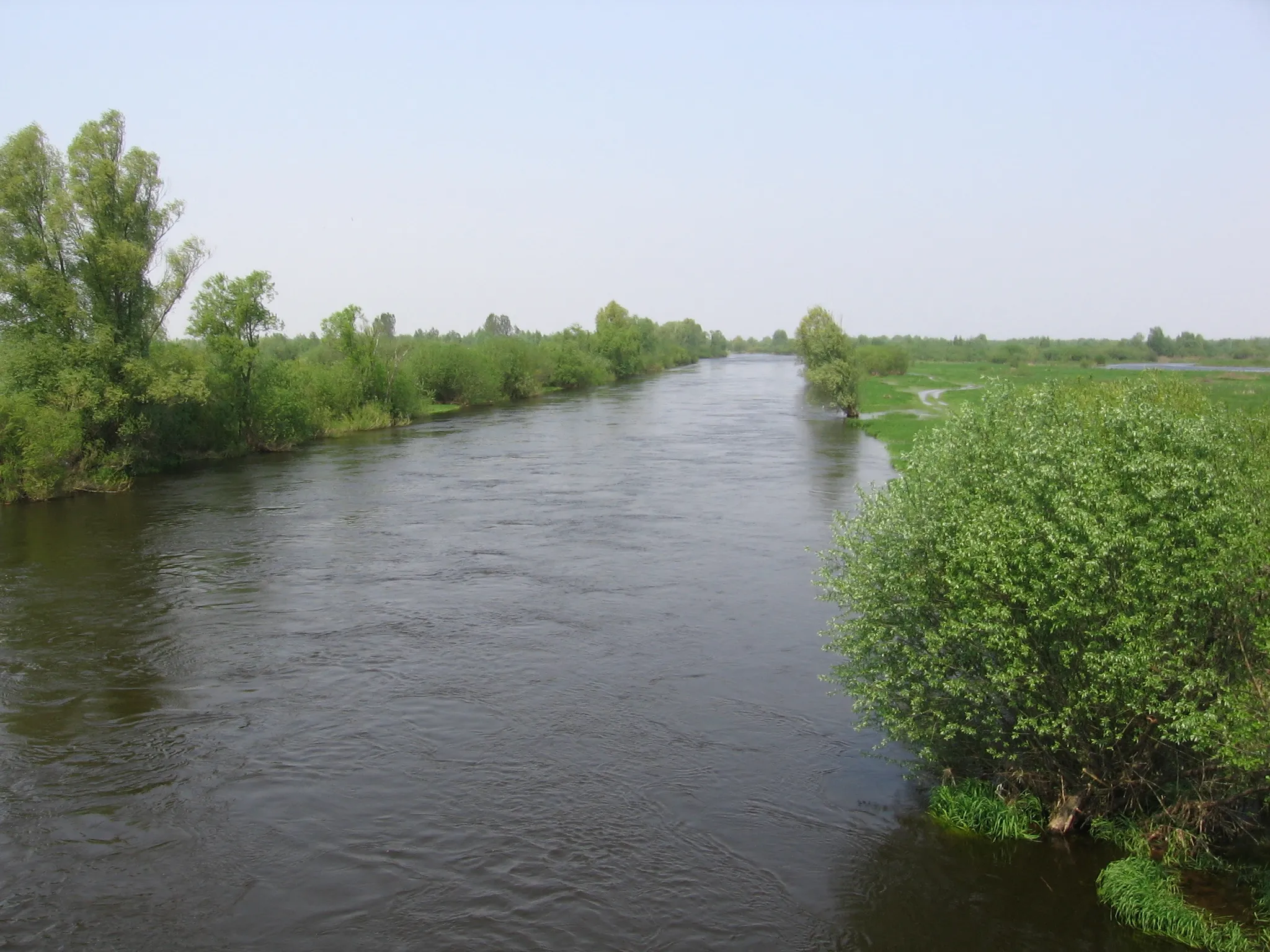 Photo showing: Warta river near Warta town in central Poland