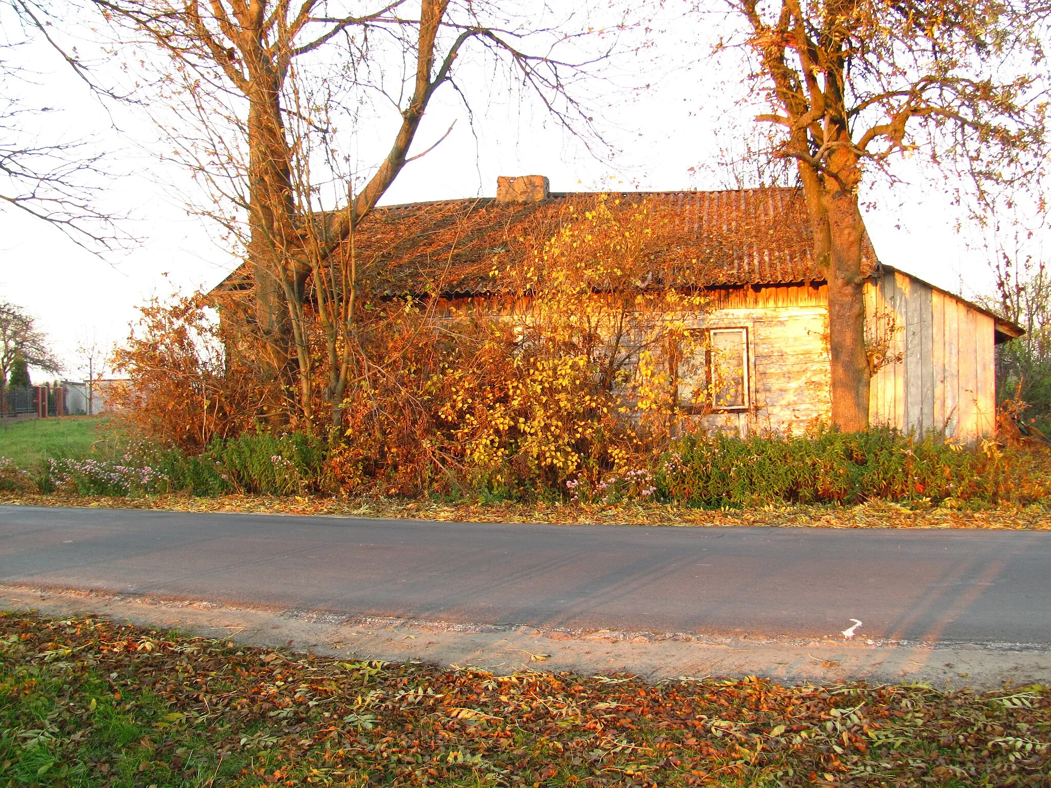Photo showing: Gmina Mniszków, Poland