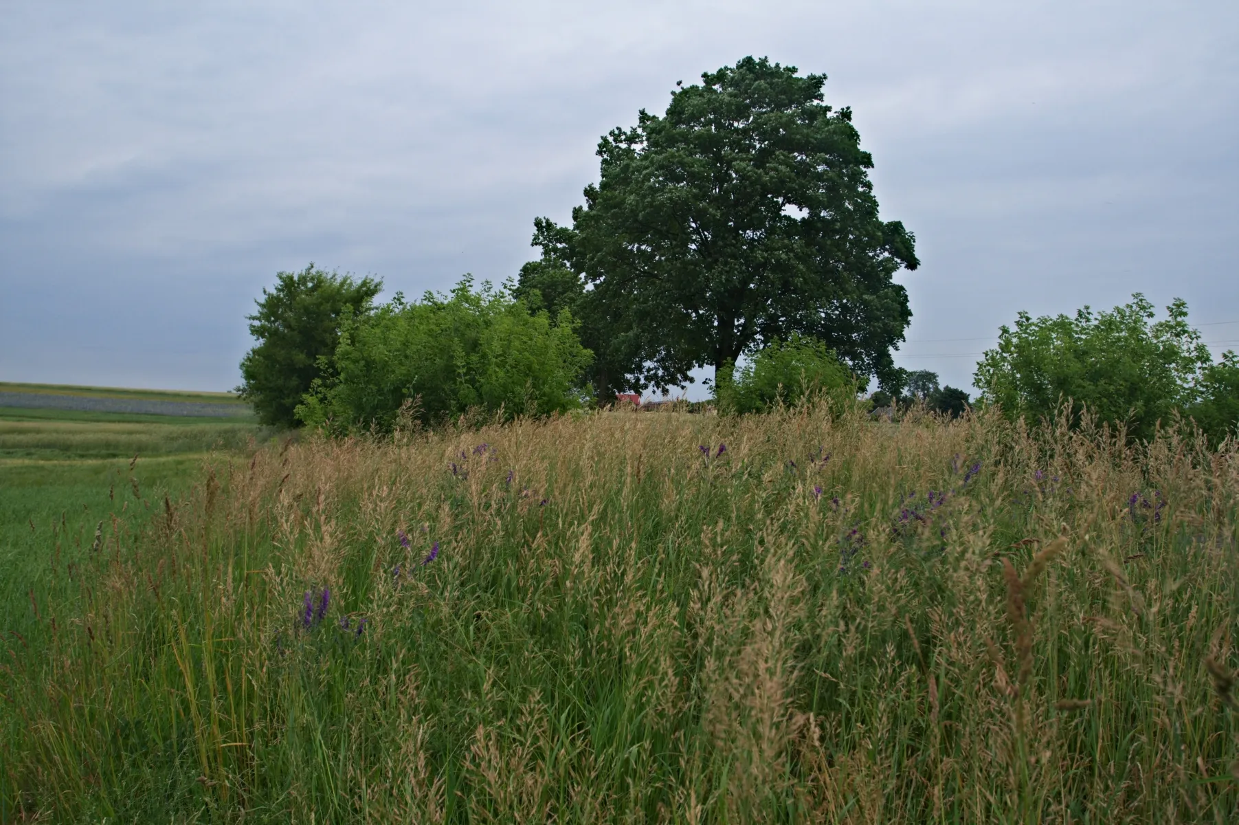 Photo showing: Godaszewice