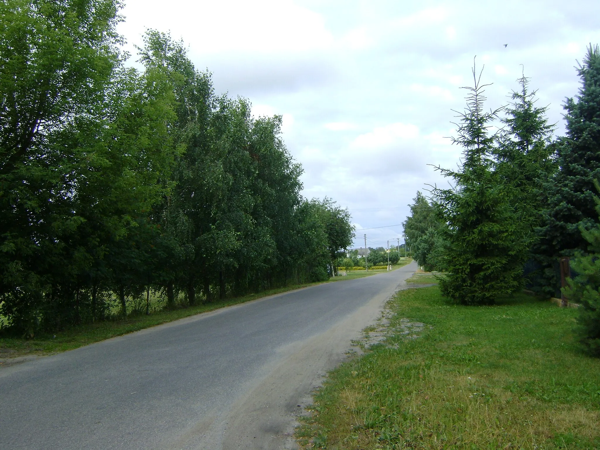 Photo showing: Belno community Gostynin - the road towards Łanięta