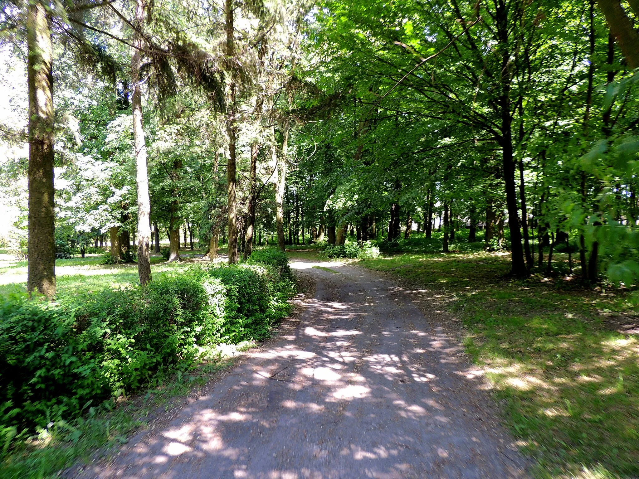 Photo showing: Rudnik - park dworski
