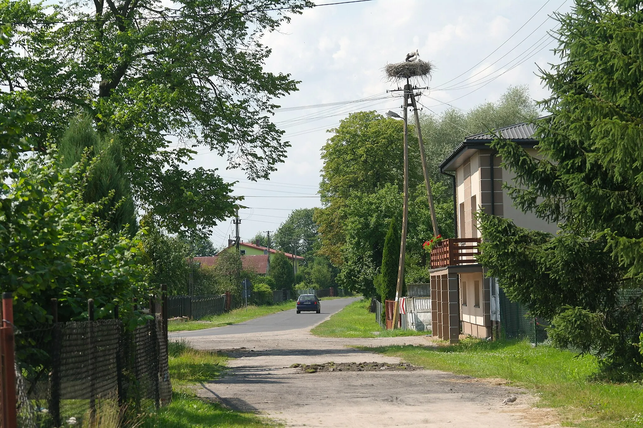 Photo showing: Gniazdo bociana białego w miejscowości Jeżew