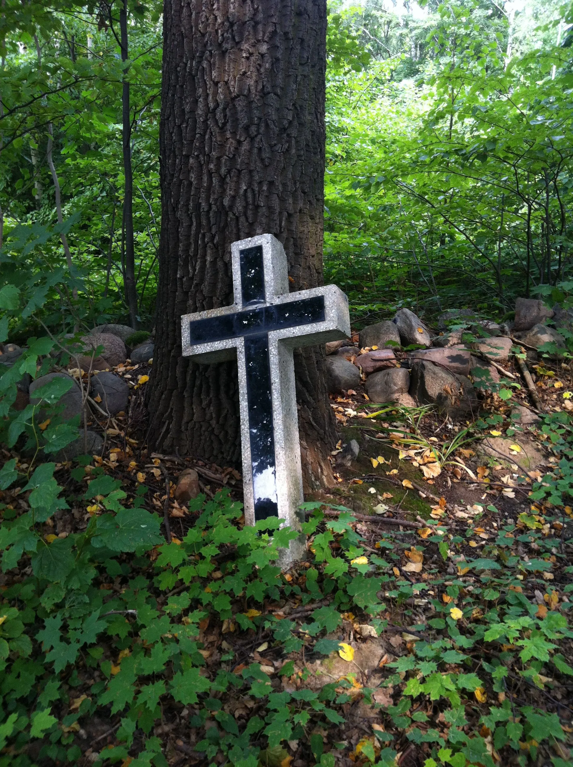 Photo showing: Adamów (powiat brzeziński) Cmentarz Ewangielicki