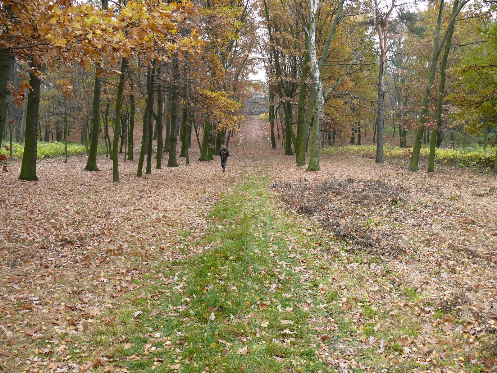 Photo showing: Cmentarz wojenny Gadka Stara koło Łodzi