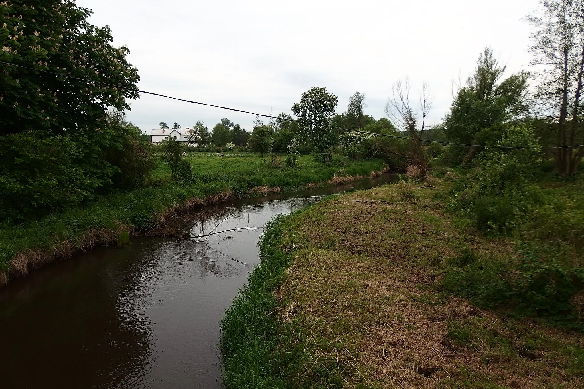 Photo showing: Rawka river in Doleck