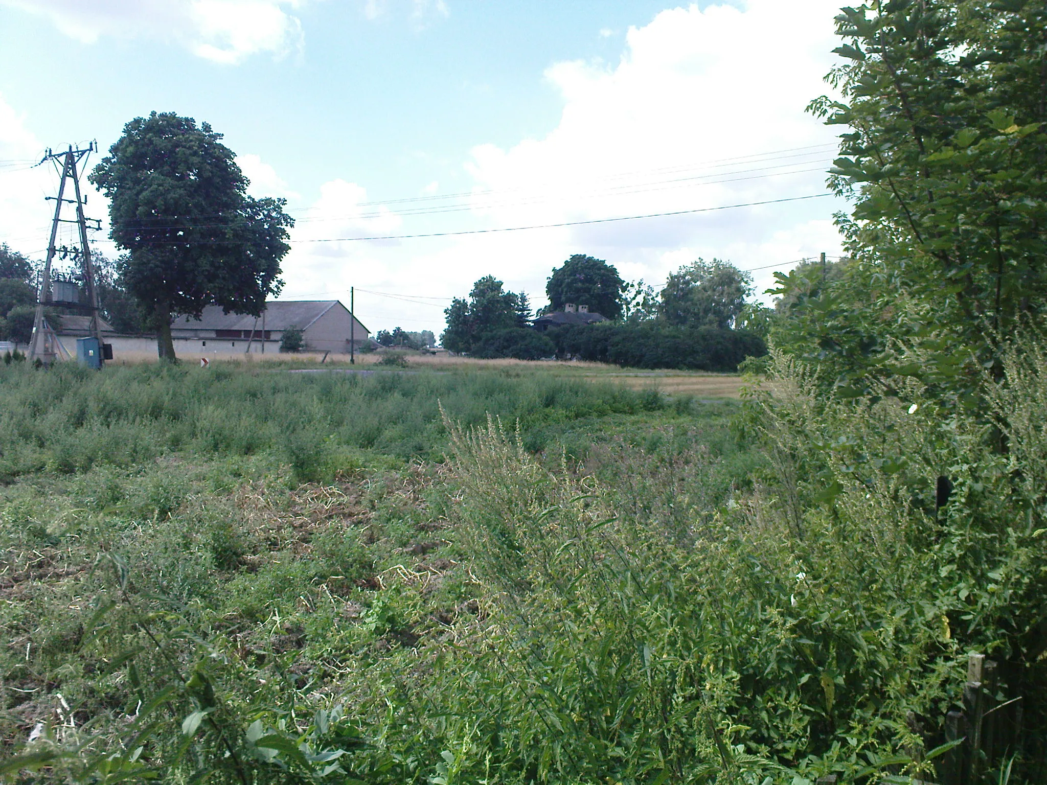 Photo showing: Jeziorko - zakręt (drugi od Koluszek)