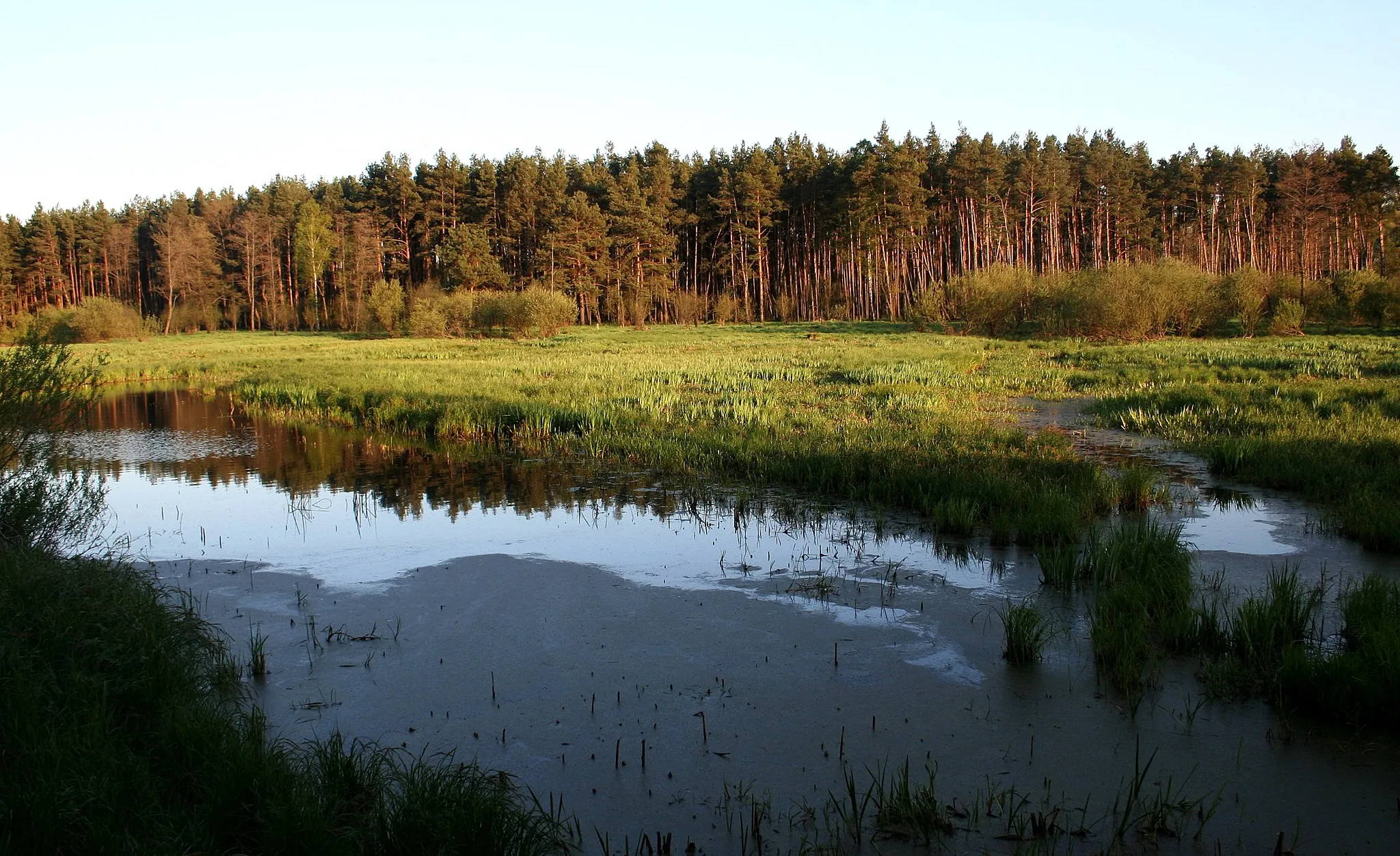 Photo showing: Załęczański Park Krajobrazowy - użytek ekologiczny Wronia Woda