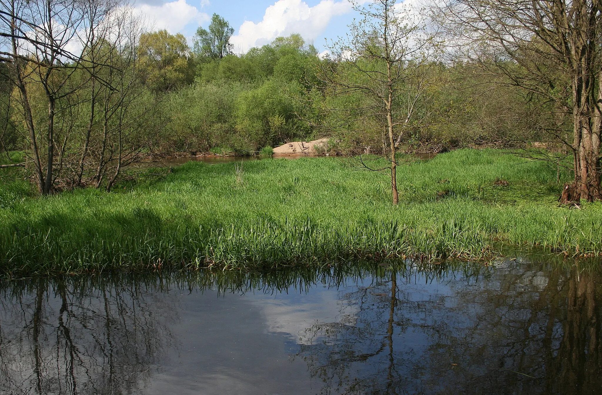 Photo showing: Załęczański Park Krajobrazowy: starorzecze Warty w pobliżu miejscowości Bobrowniki