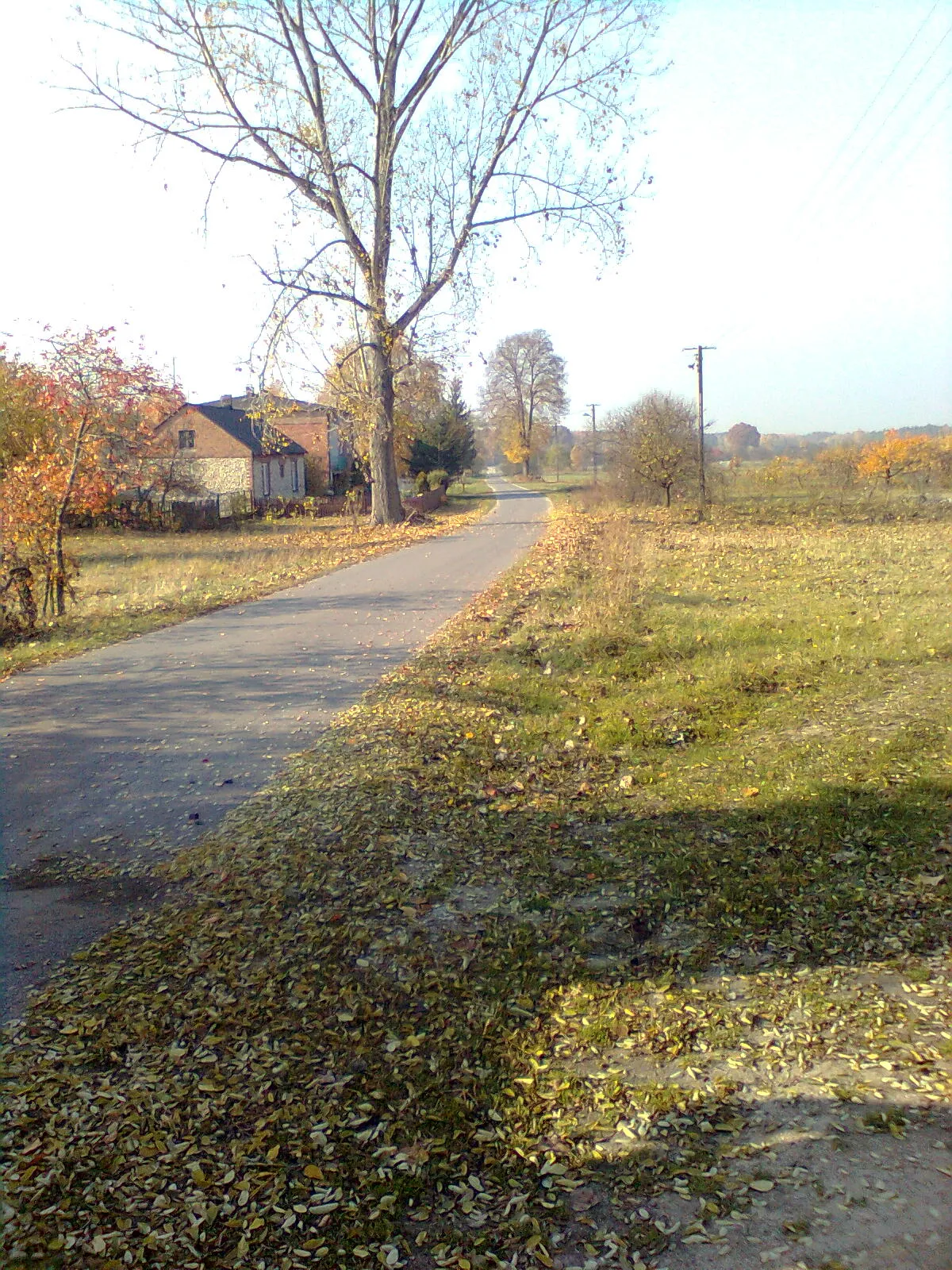 Photo showing: Droga gminna przez wieś Adamka