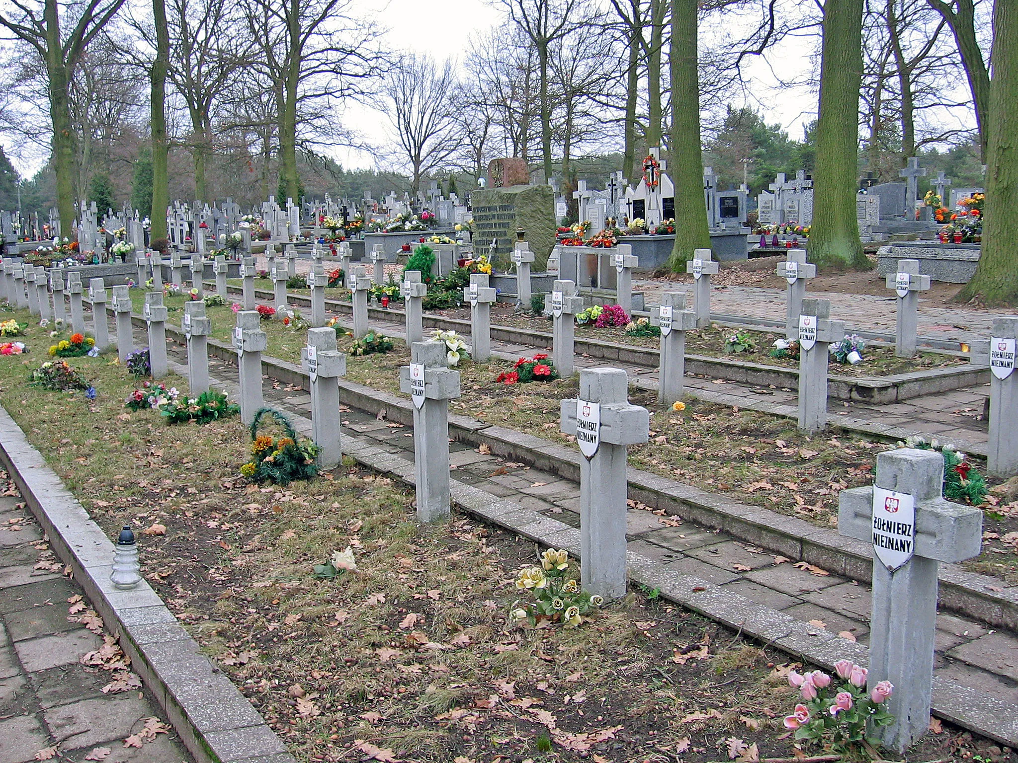 Photo showing: Cemetery in Dobrzyków (tomb of the Unknown Soldier)