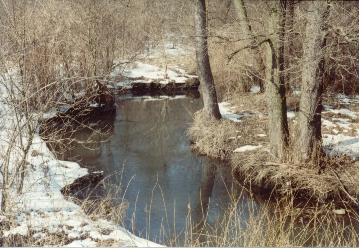 Photo showing: River Białka in winter (Lódź Voivodeship, Poland)