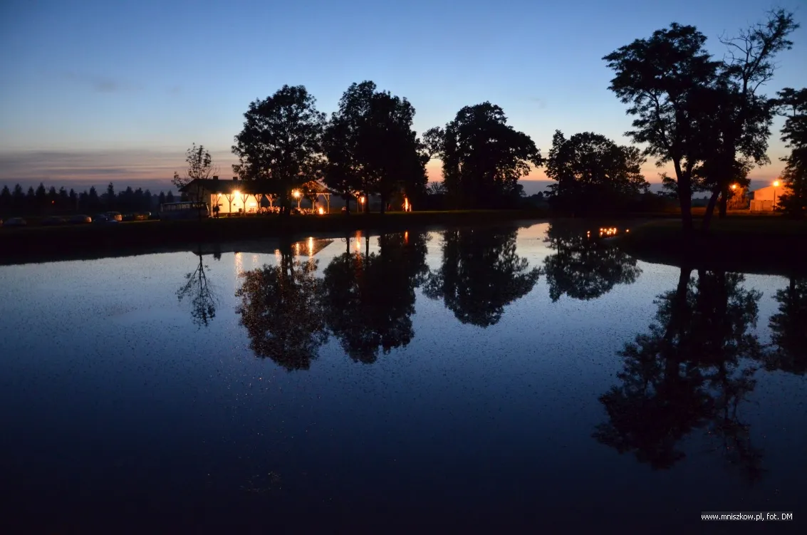 Photo showing: Park Dworski w Mniszkowie - Noc Świętojańska