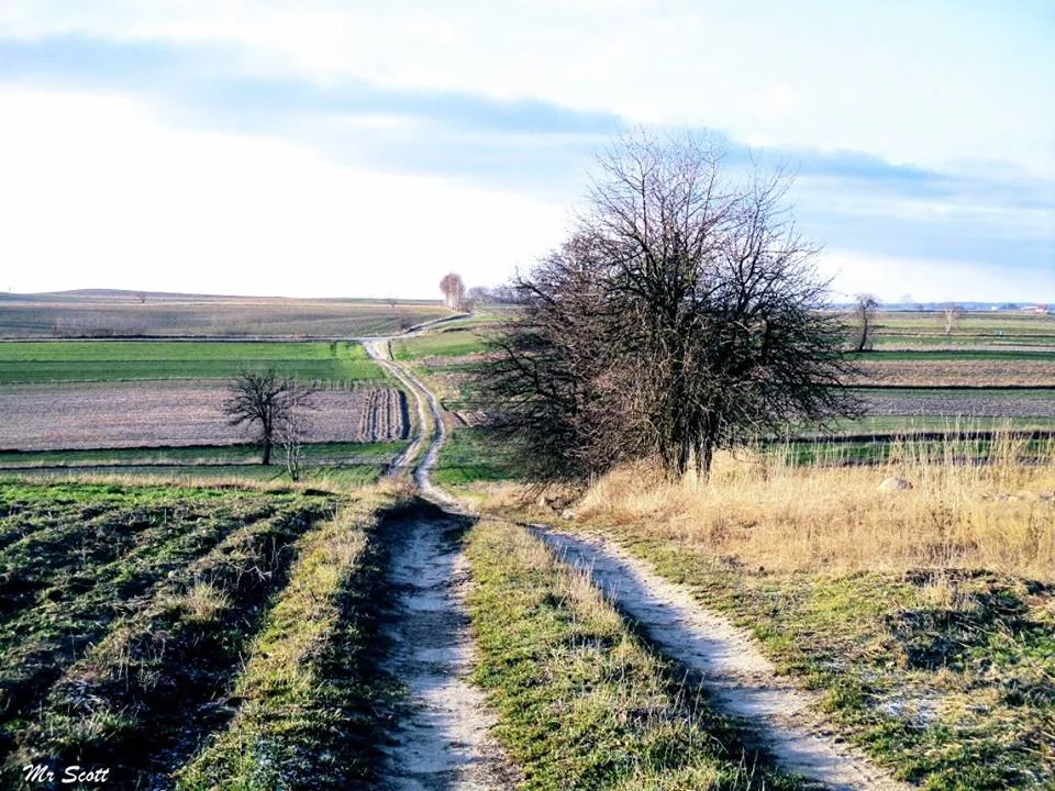 Photo showing: Kochanów od strony północnej. Patrząc na zdjęcie po lewej widzimy tereny Kochanowa, a po prawej Białynina,