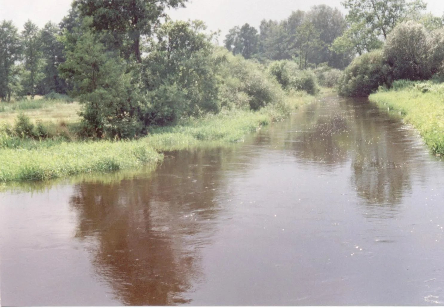 Photo showing: River Rawka in Nowy Dwór (Lodz Voivodship, Poland