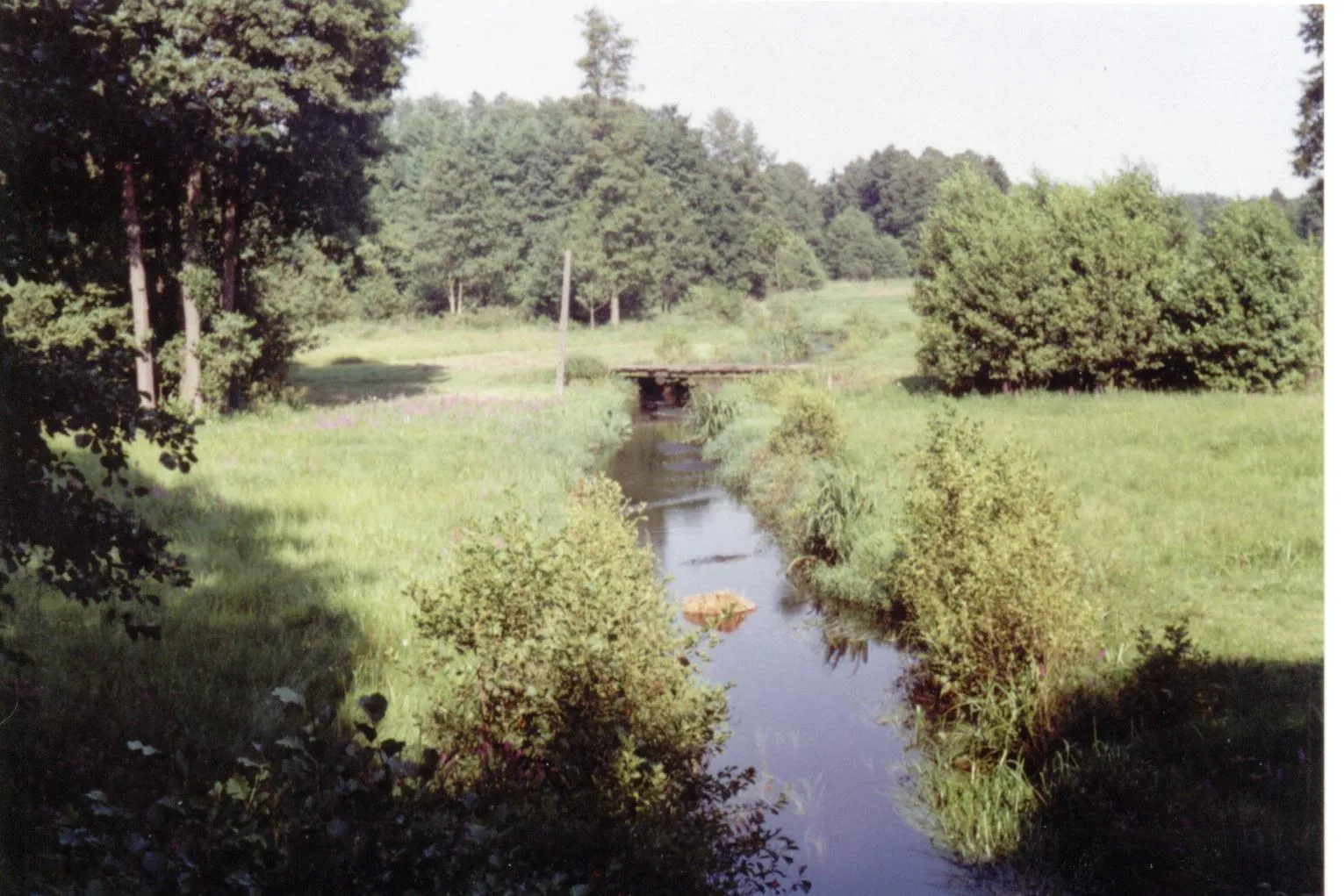 Photo showing: Rzeczka i łaki w pobliżu wsi Strzemeszna (powiat tomaszowski)