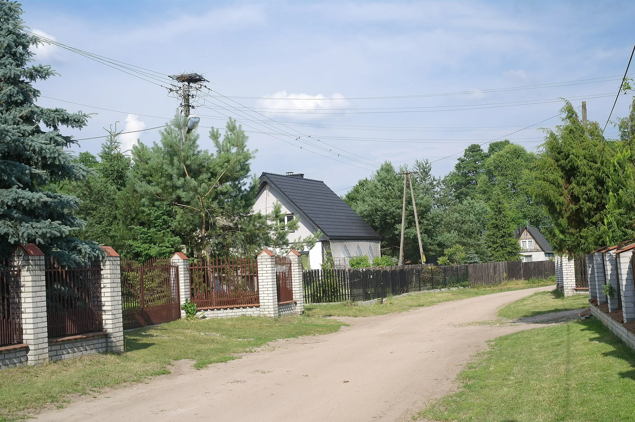 Photo showing: Pozostałości gniazda bociana białego w Zdrzychowie