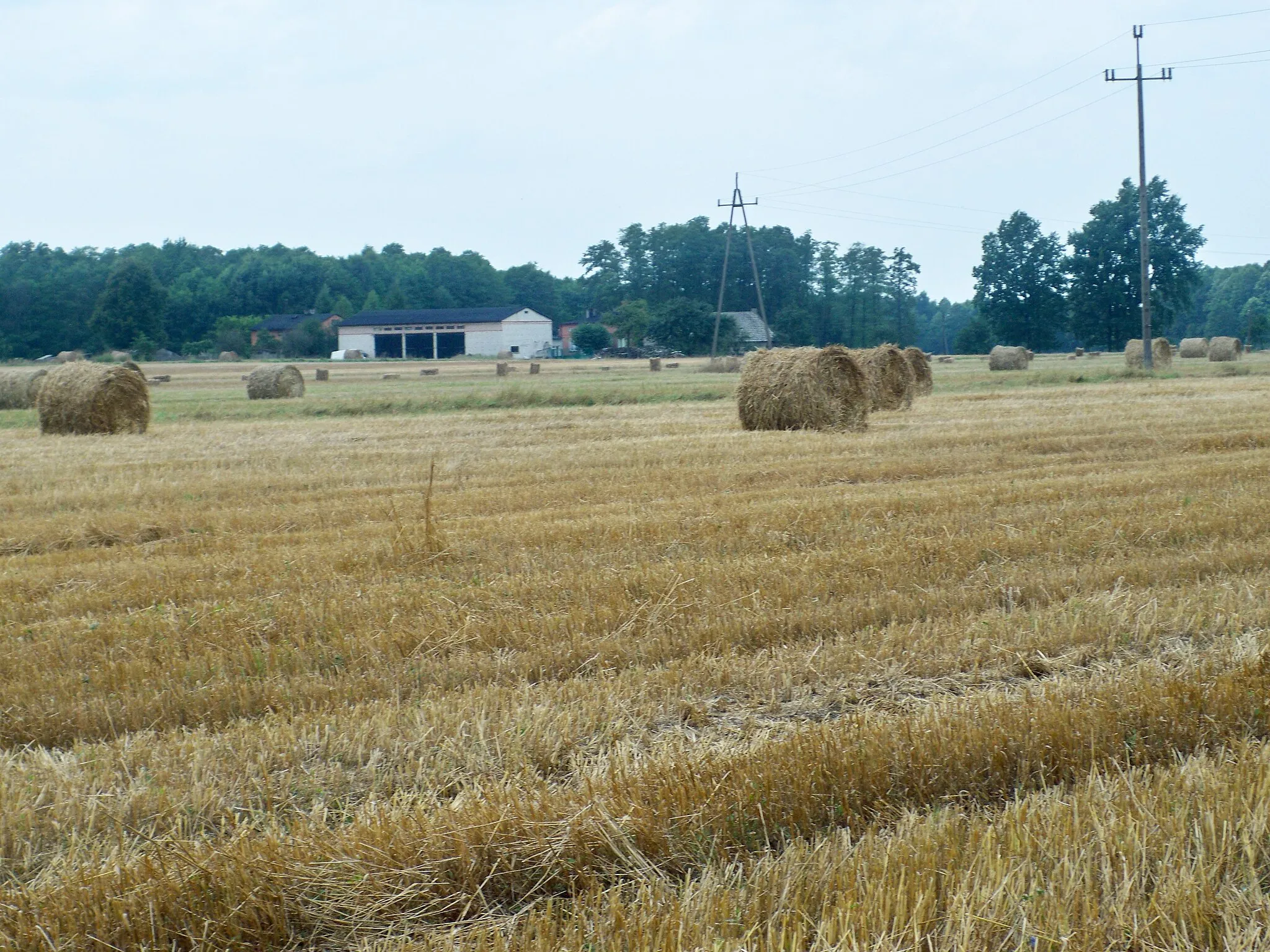 Photo showing: Wrzeszczewice Nowe Województwo Łódzkie