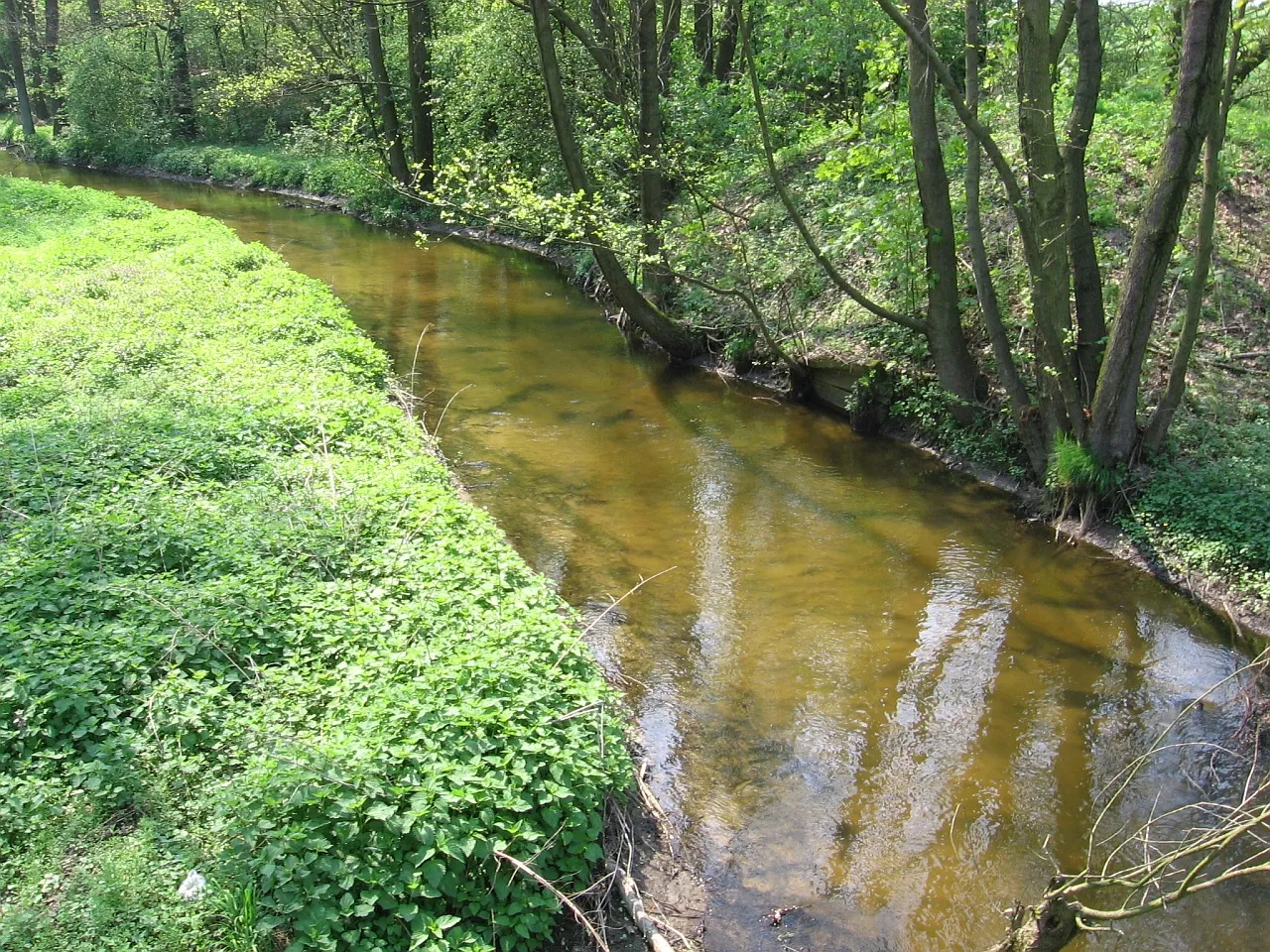 Photo showing: Moszczenica River near village Wola Branicka