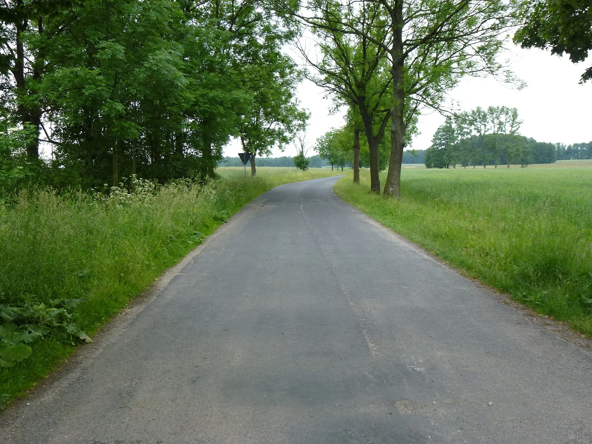 Photo showing: Droga do wsi Piętków