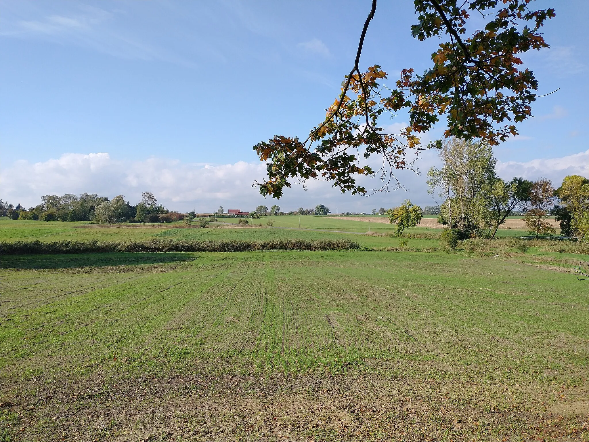 Photo showing: Okolice Łaznowa w powiecie tomaszowskim.