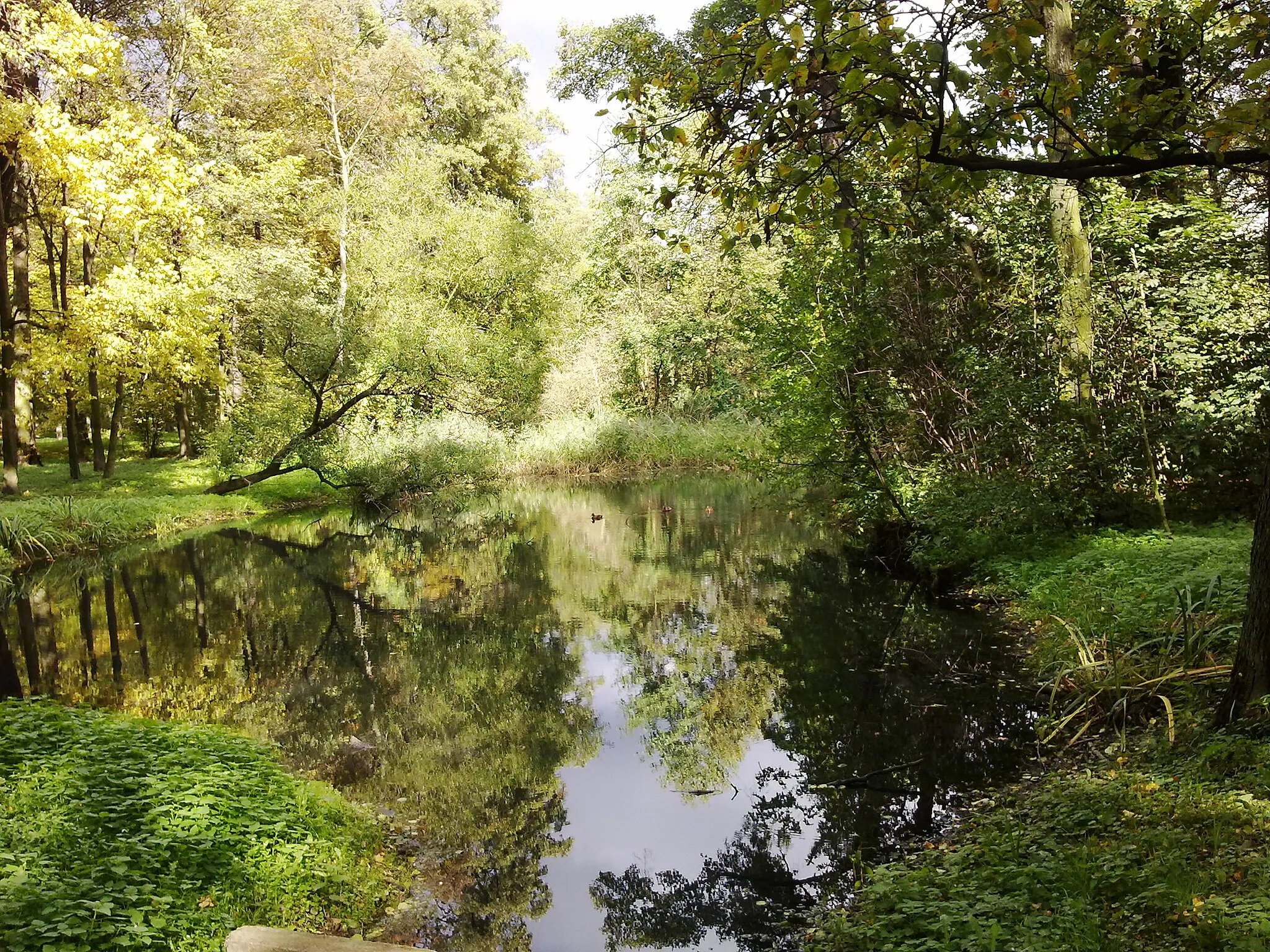 Photo showing: Łask, ul. Objazdowa - Park dworski, obecnie park miejski im. Rodu Łaskich (zabytek nr rejestr. 386 z 25.06.1990)