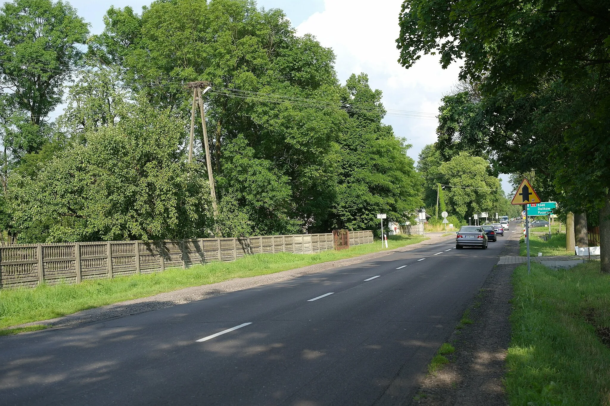 Photo showing: Pozostałości gniazda bociana białego w Kucinach