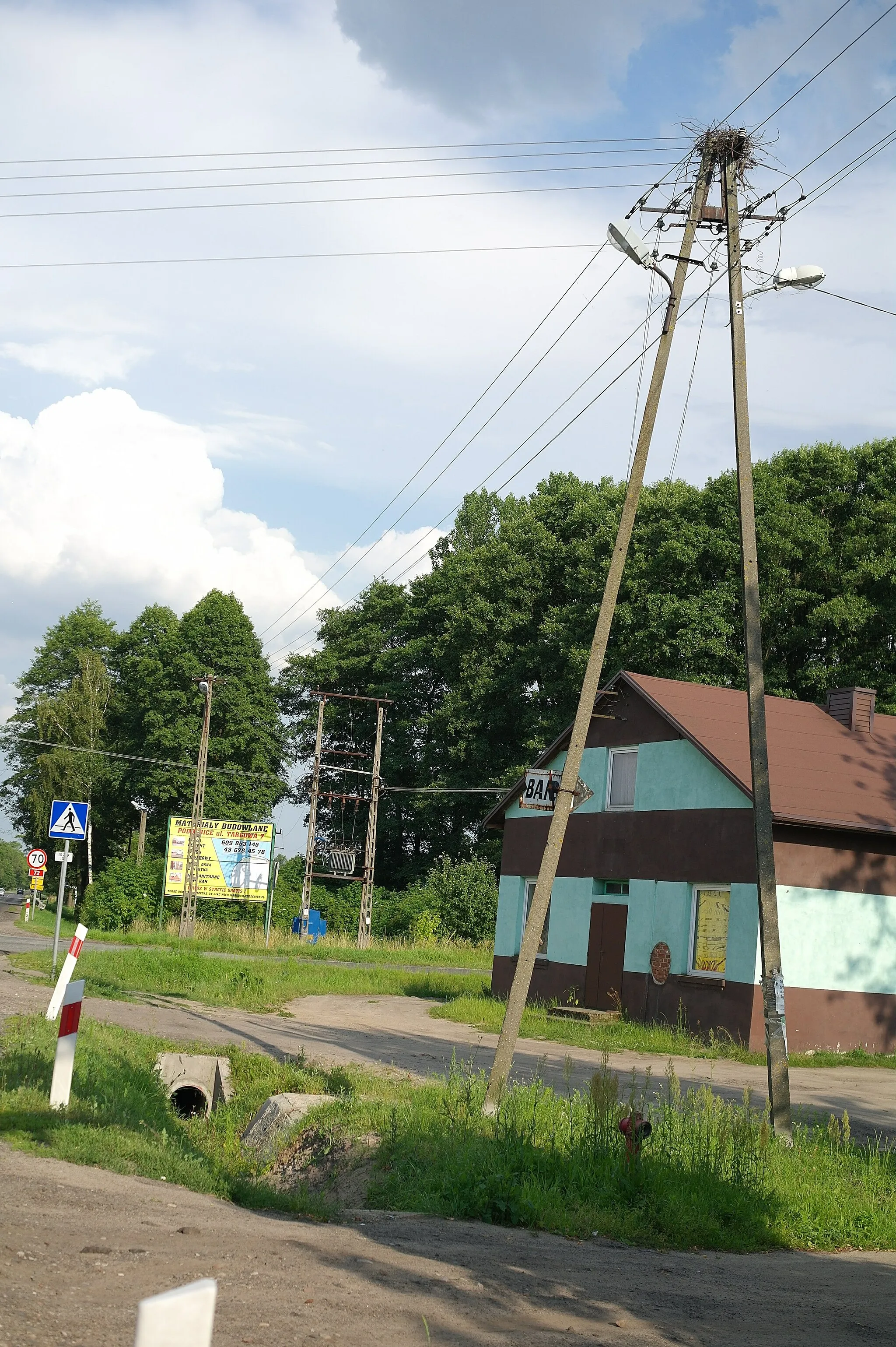 Photo showing: Pozostałości gniazda bociana białego w Kucinach