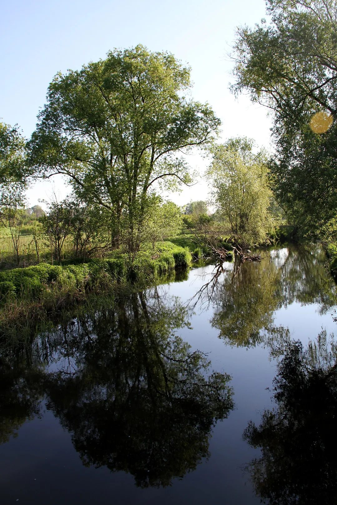 Photo showing: River Ner between Konstantynow Lodzki and Lutomiersk