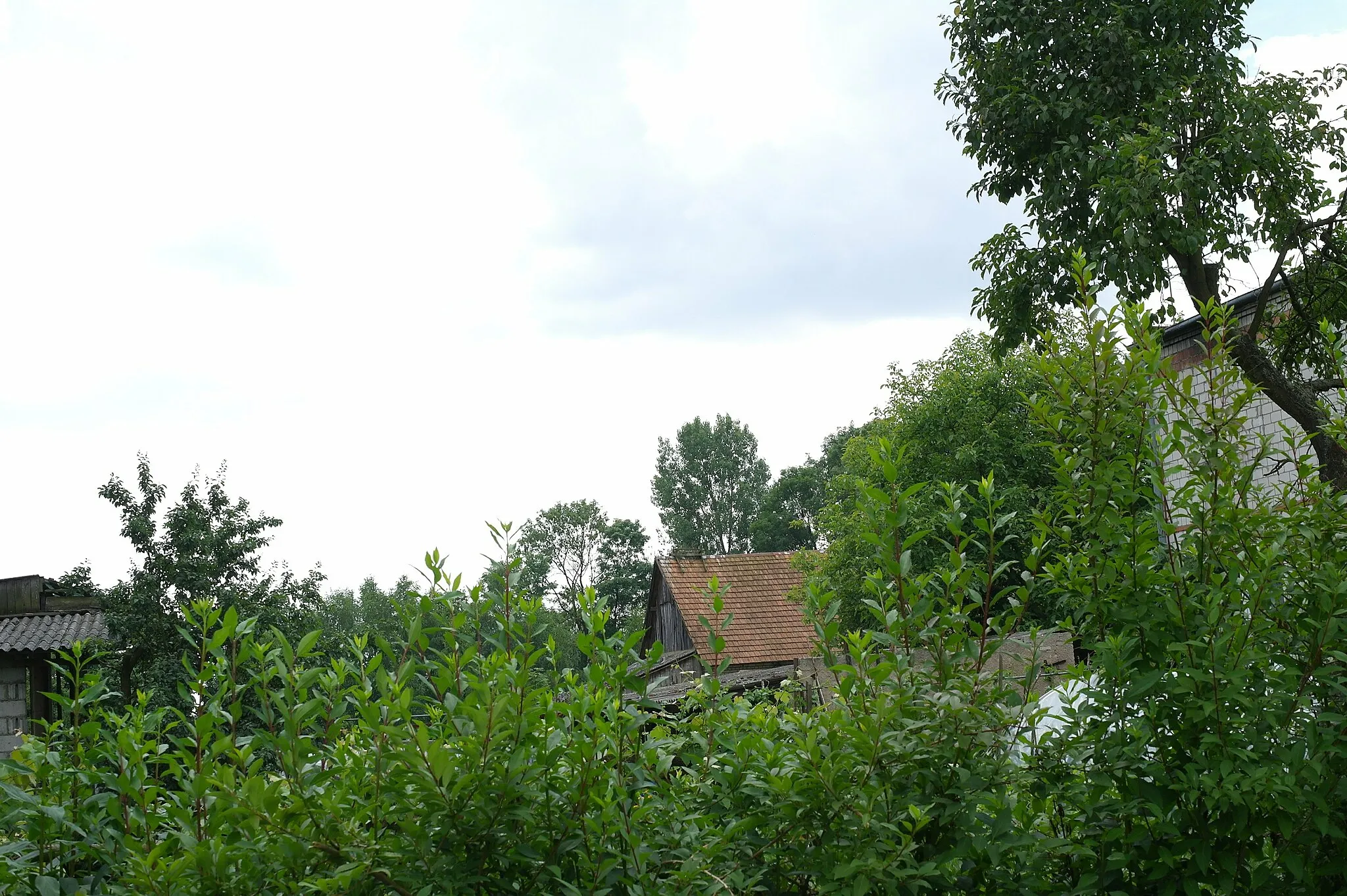 Photo showing: Pozostałości gniazda bociana białego – Kolonia Czołczynek (część wsi Czołczyn)