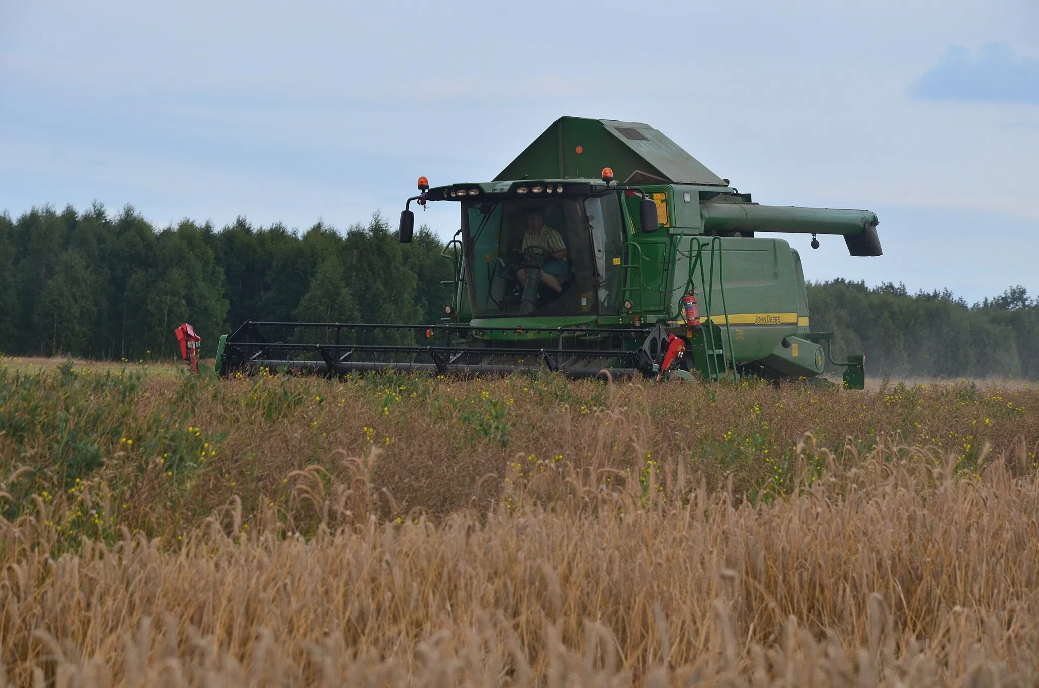 Photo showing: Zdjęcie przedstawia żniwa rzepaku kombajnem John Deere W540.