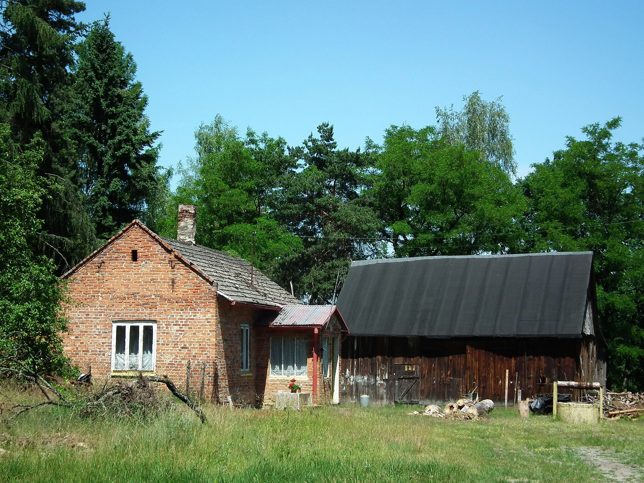 Photo showing: Barycz w powiecie pabianickim.