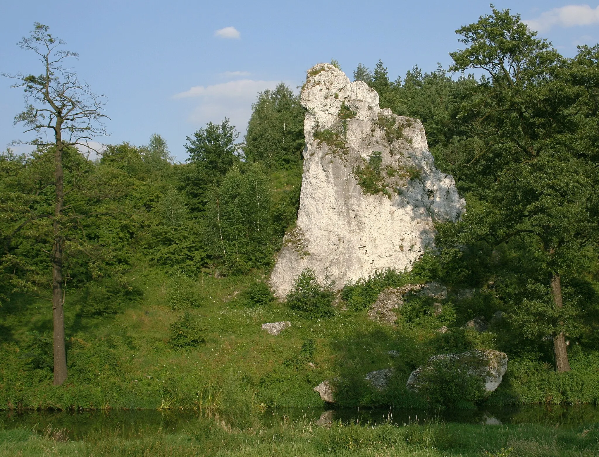 Photo showing: "Skała Miłosna" nad Wartą w sąsiedztwie miejscowości Wancerzów , woj. śląskie