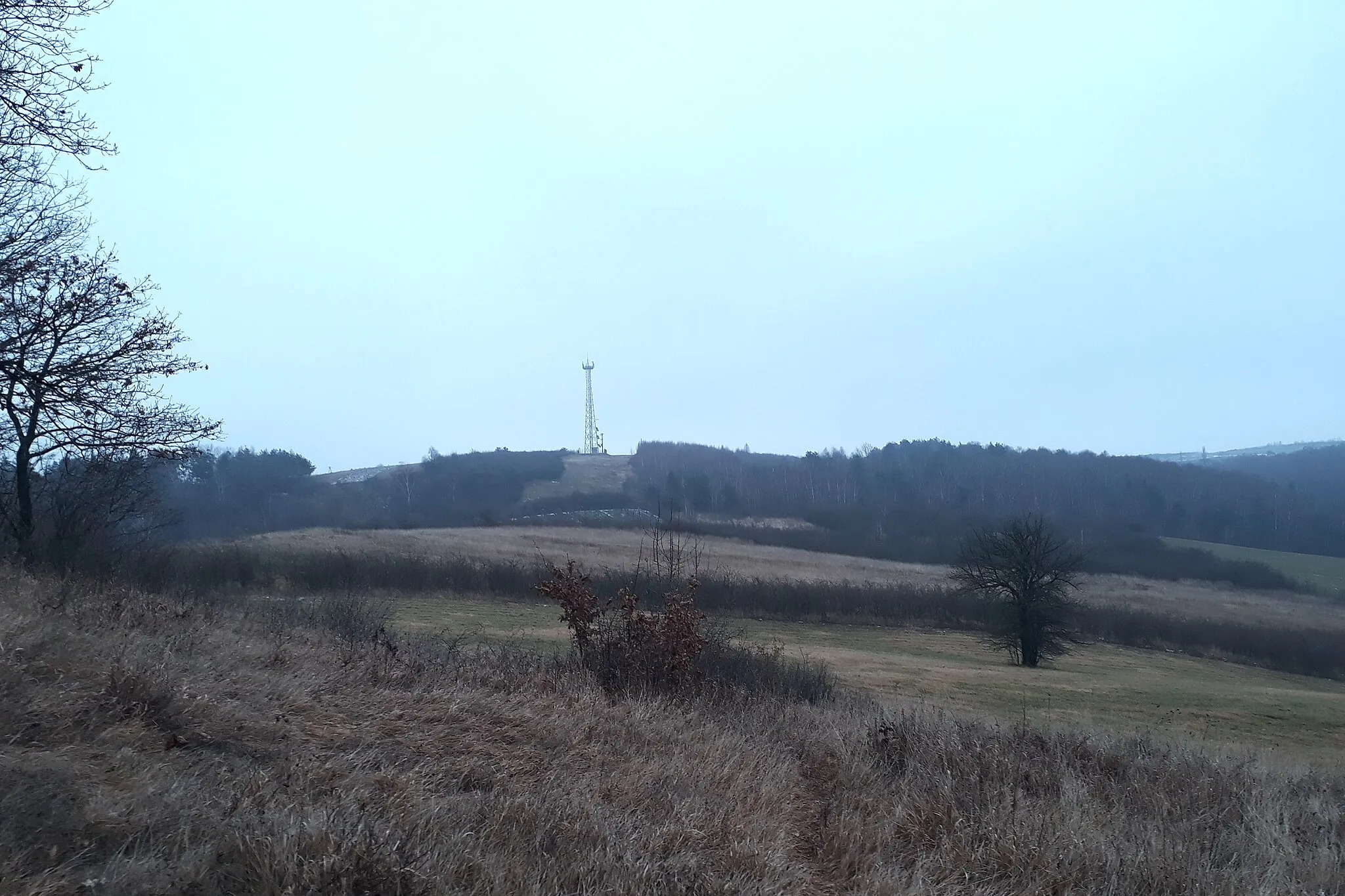 Photo showing: Chropoń, a hill near Mstów (Częstochowa county)