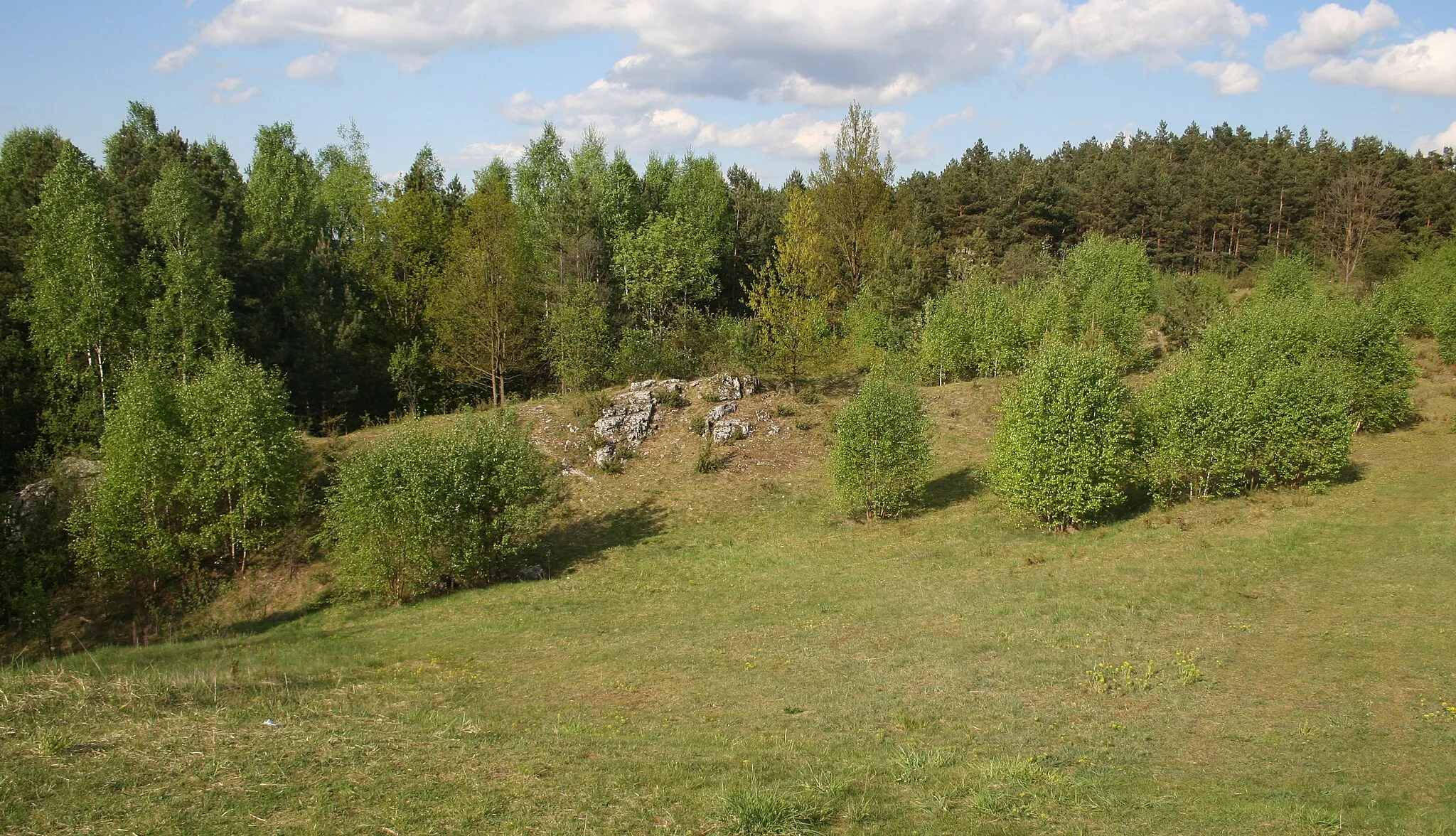 Photo showing: Załęczański PK, Rezerwat Węże - płaskowyż na górze Zelce