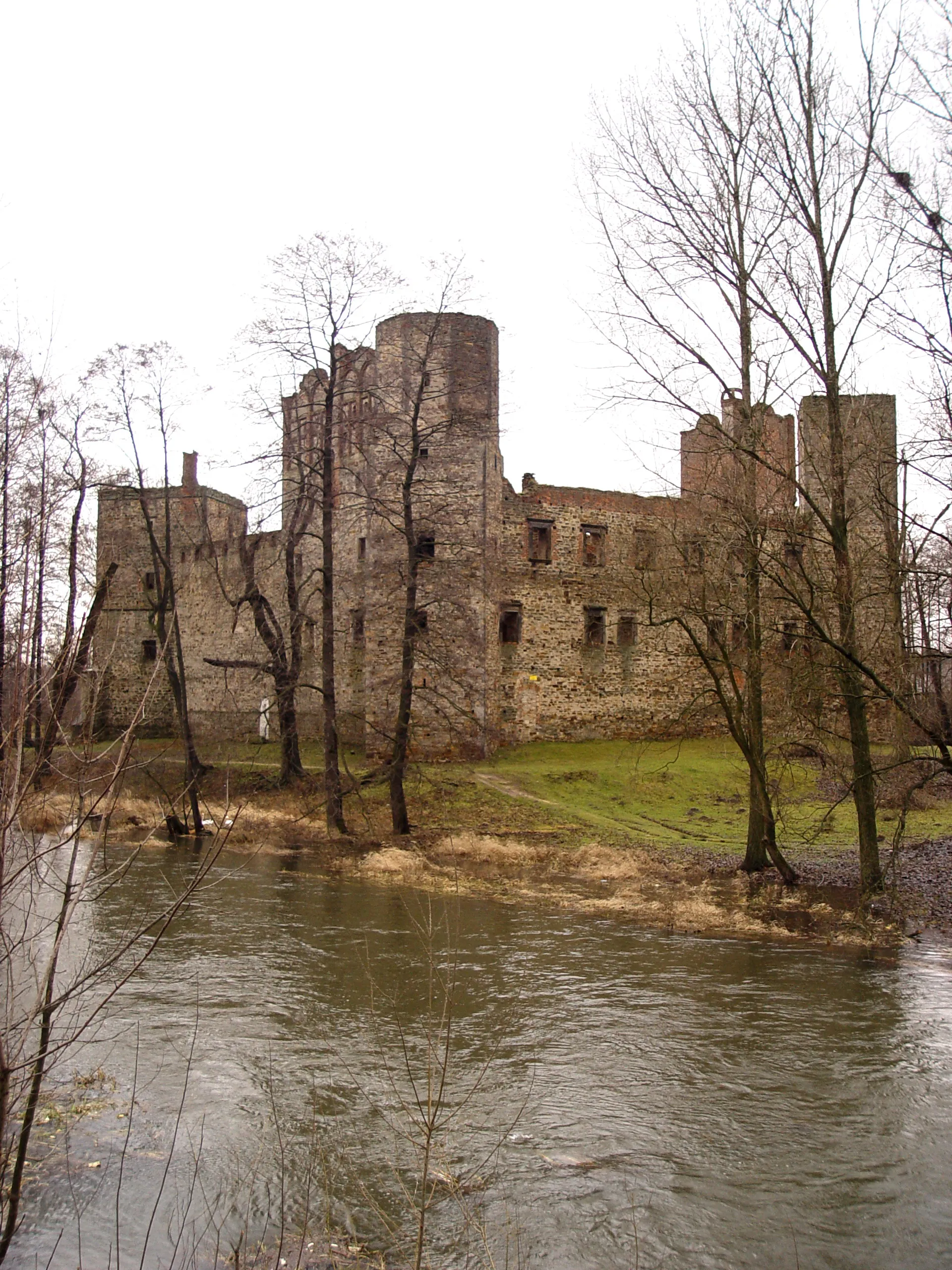 Photo showing: Zamek w Drzewicy,nad rzeką Drzewiczką, widok z mostu, od strony zachodniej