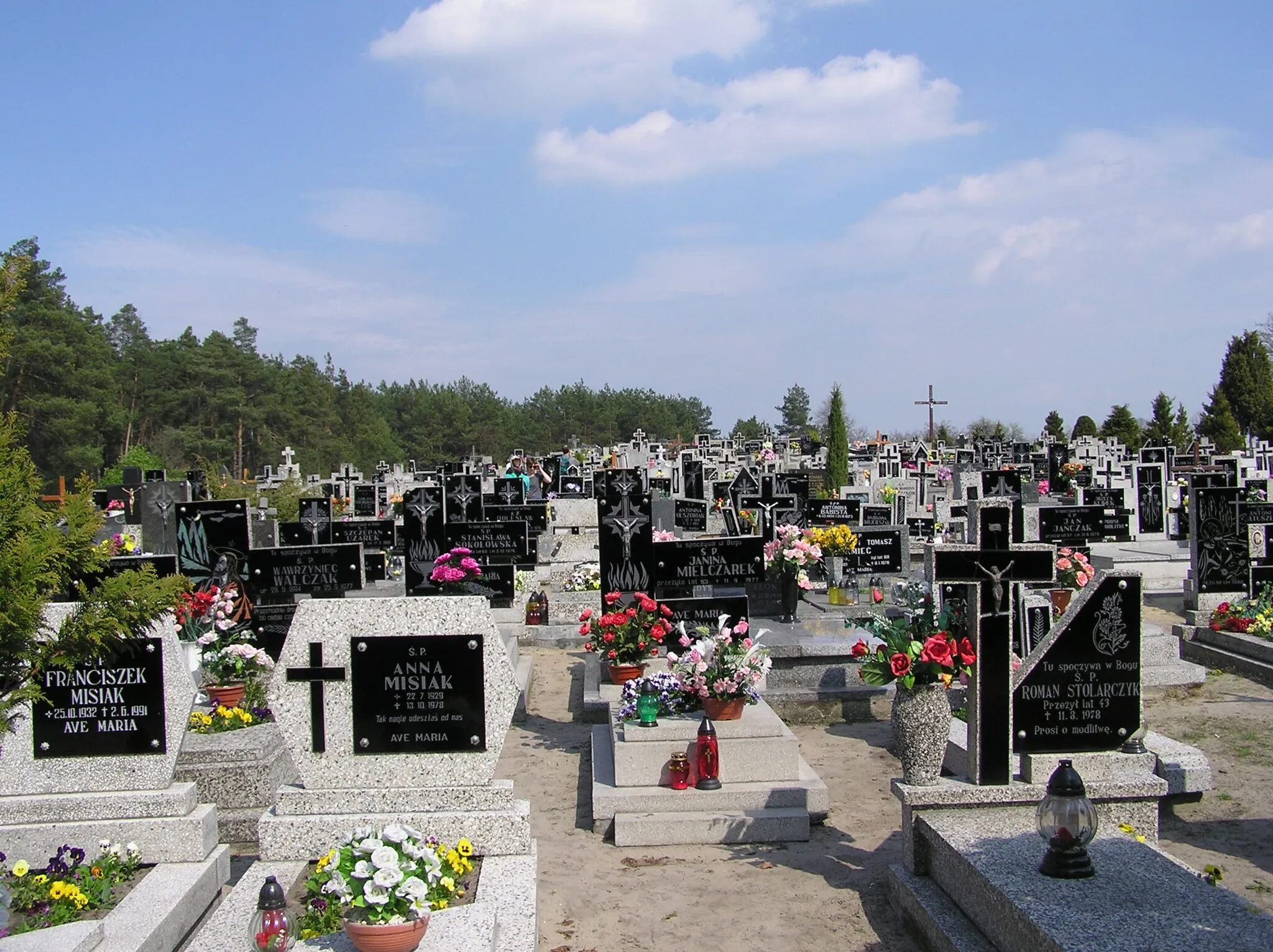 Photo showing: Ostrówek (powiat wieruszowski) - Village in Poland