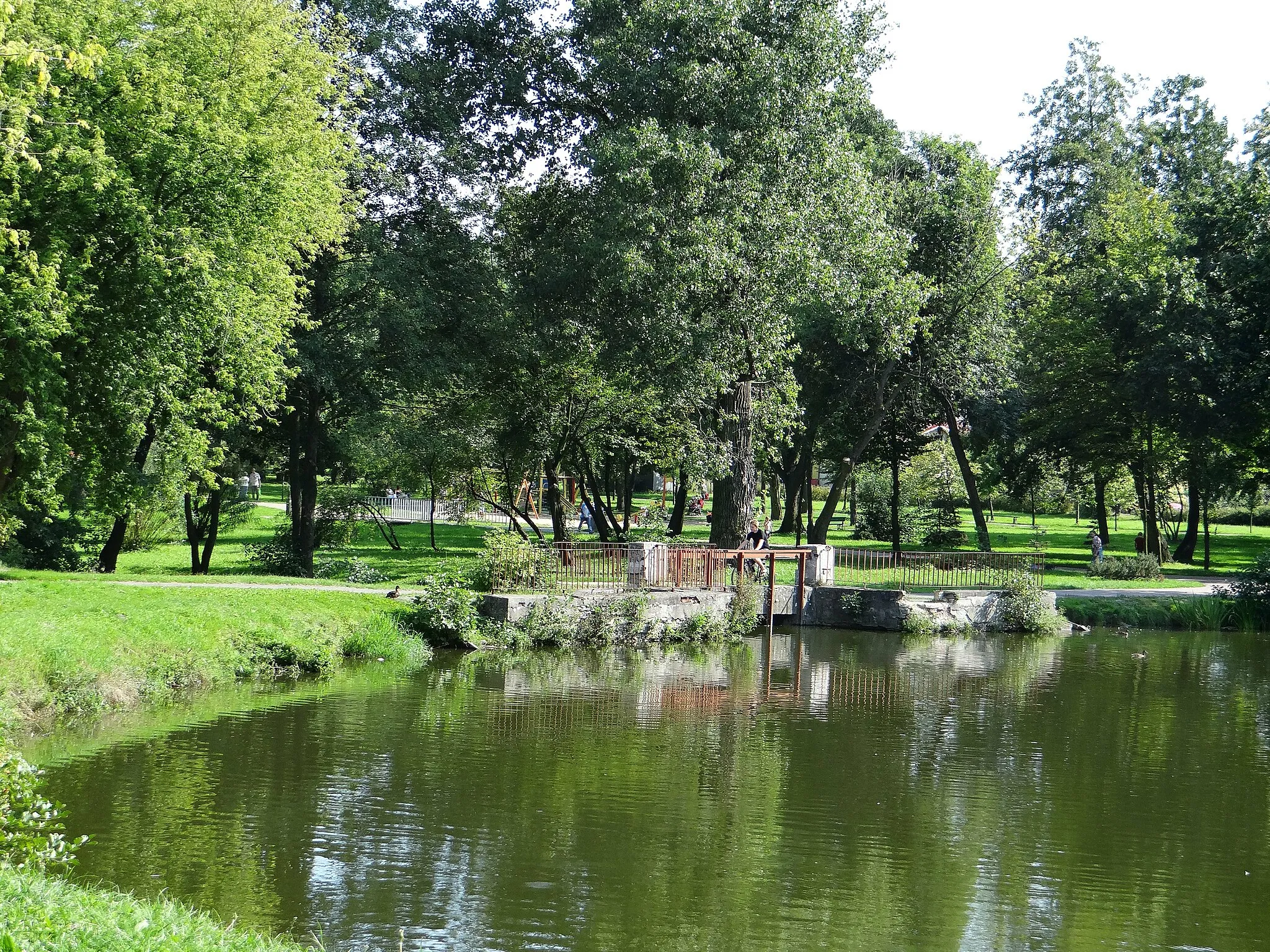 Photo showing: Brzeziny - staw na Mrożycy