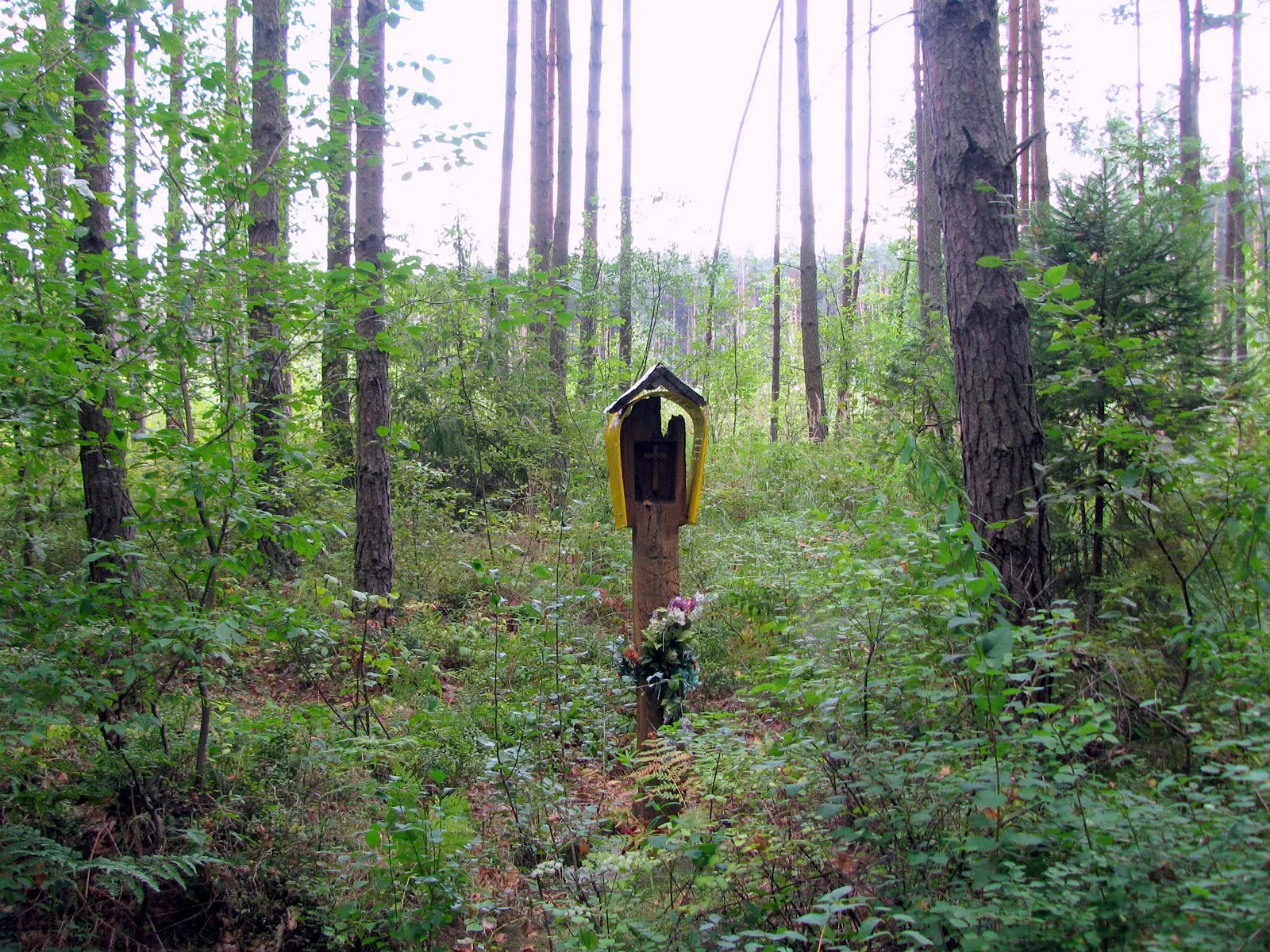 Photo showing: Kapliczka w lesie w Ojrzeniu