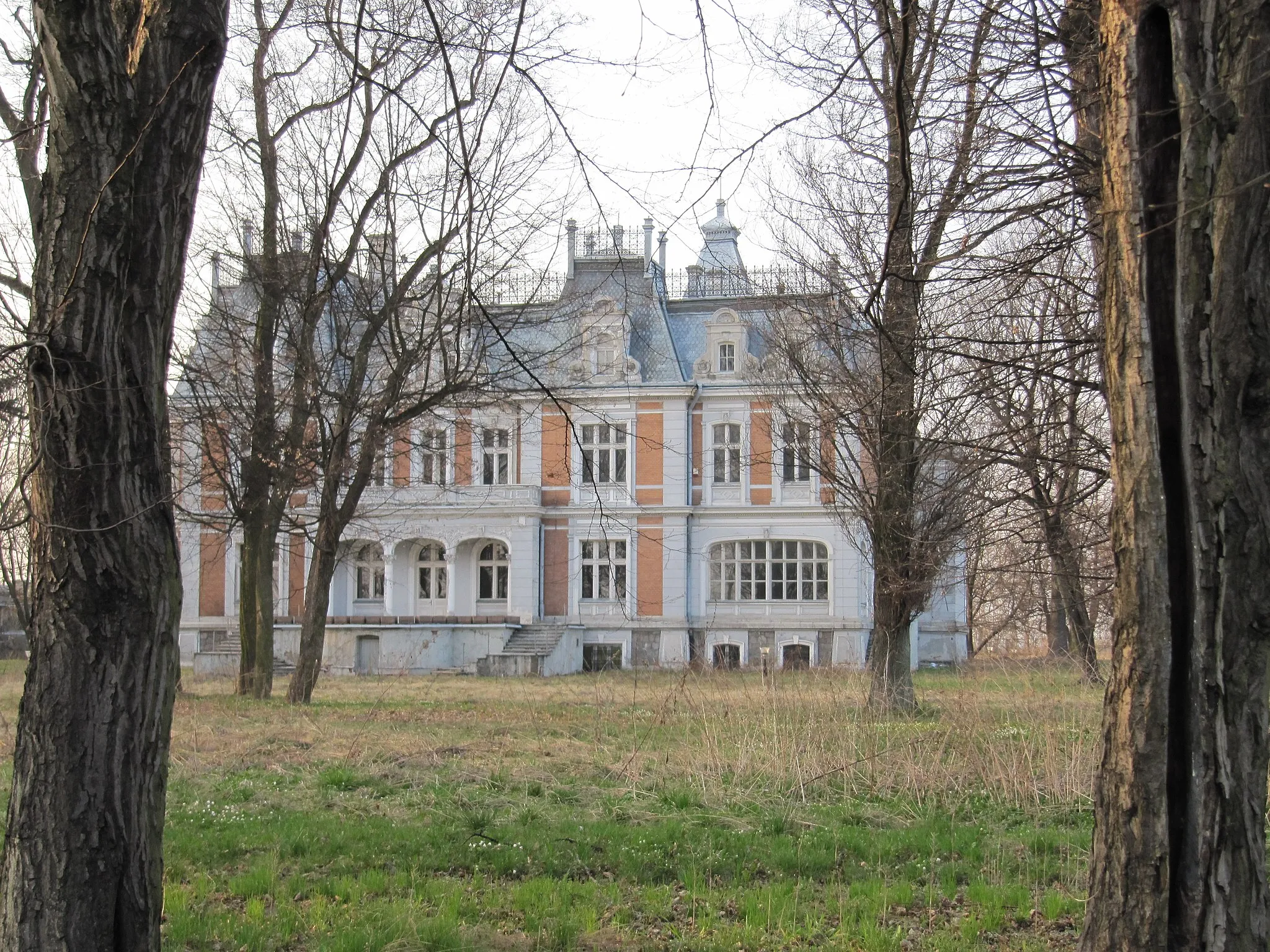Photo showing: Pałac w Widzewie (Ksawerów)